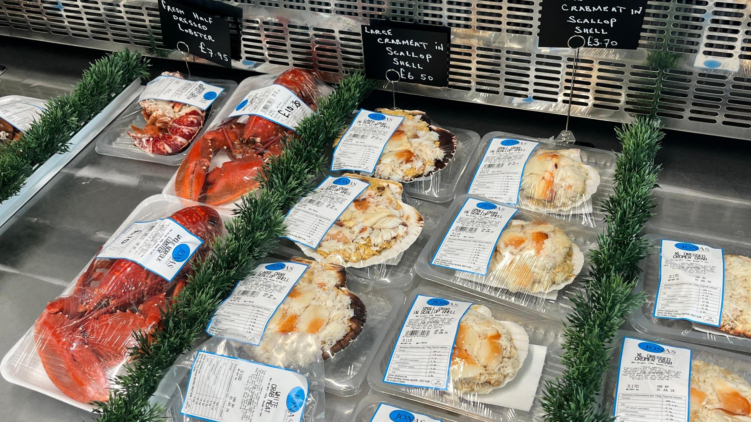 Rows of crabs and other seafood on a fish stall