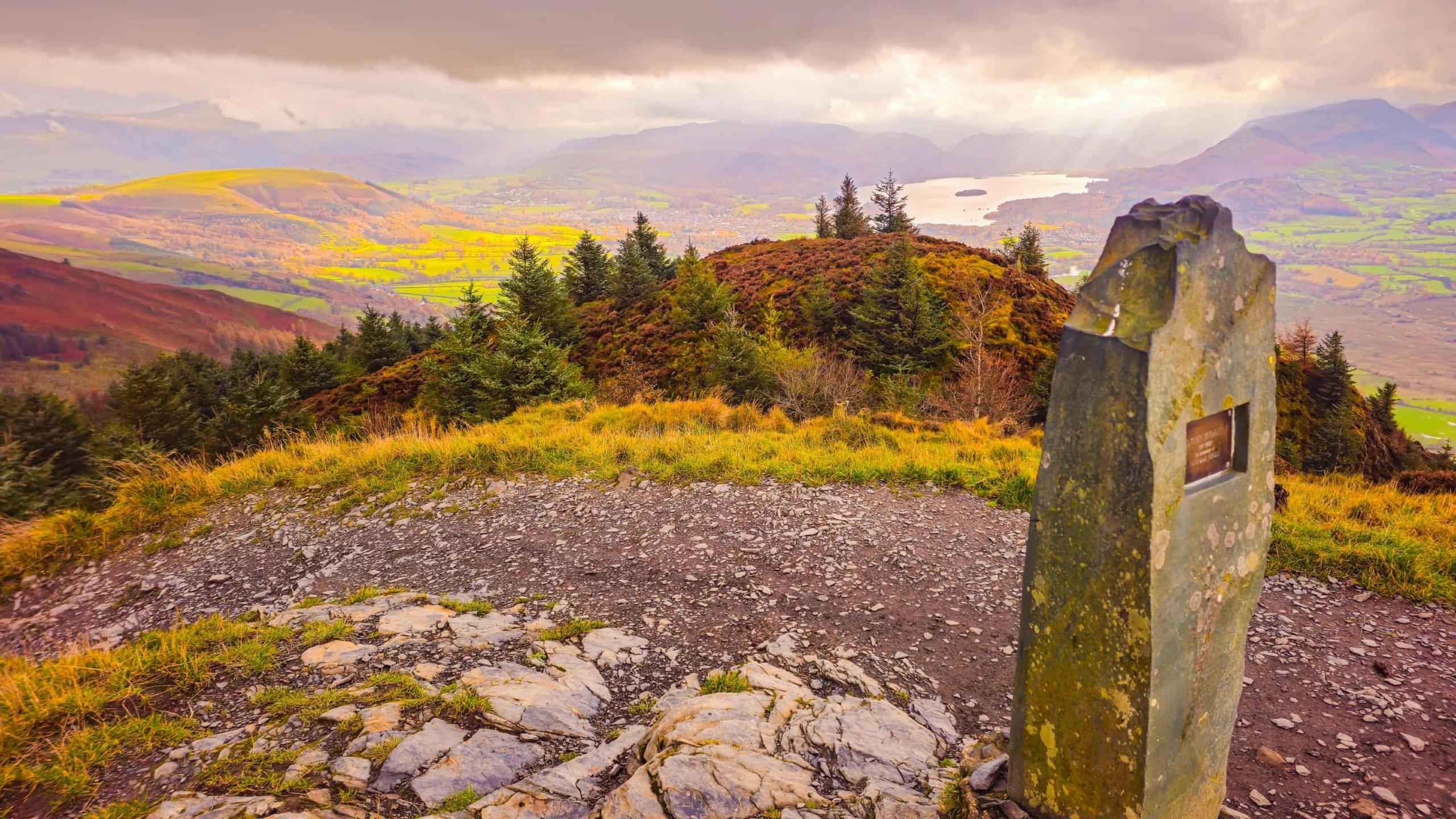Hues of purple, green and orange were seen in vegetation from Dodd Wood near Keswick. The view looks down from a forest into a valley towards Keswick. There is a trig point marking the summit of Dodd Fell.