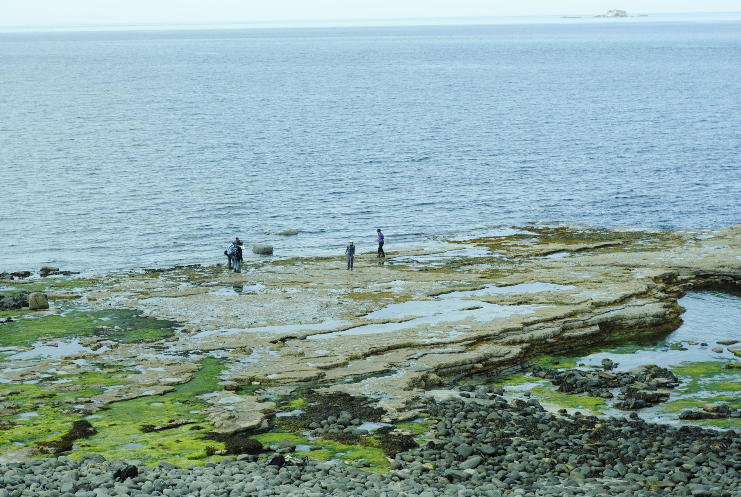 Luchd-saidheans a' trusadh fhosailean ann an Dùn Thuilm.