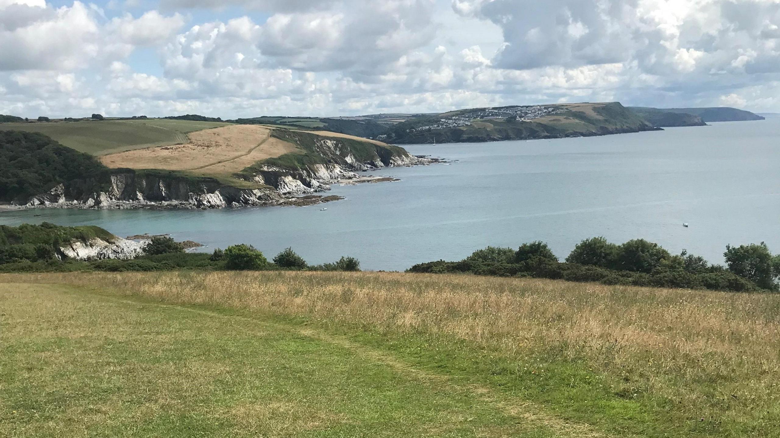 A picture of the scenery along the Cornish coast with fields, cliffs and the sea on a cloudy day