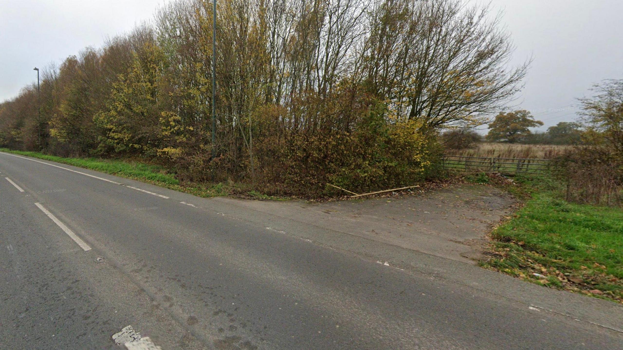 A view of Ellesmere Road with trees and a gate to the right hand side