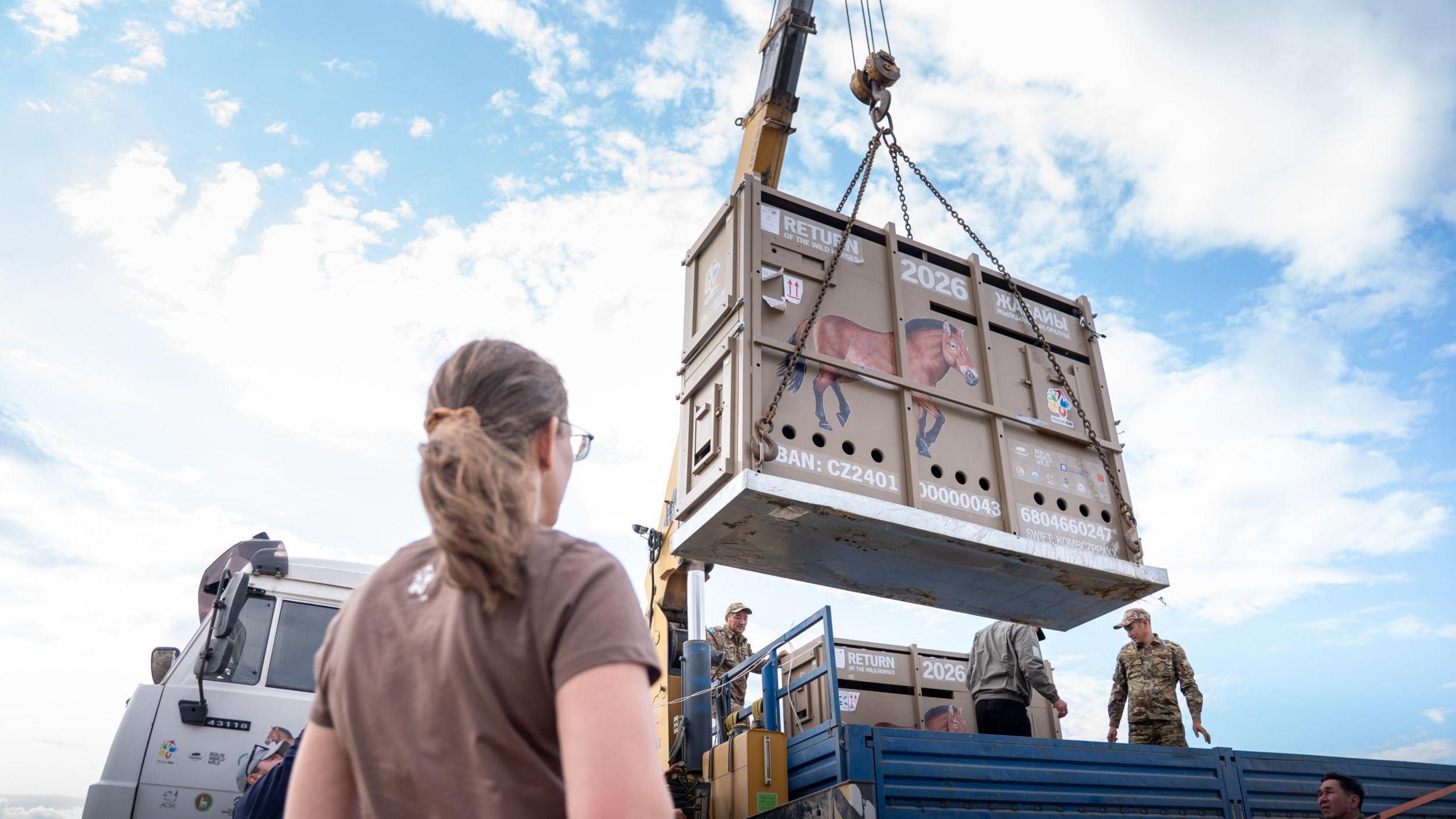 A crane lifts a crate with a picture of horse on it above an open lorry