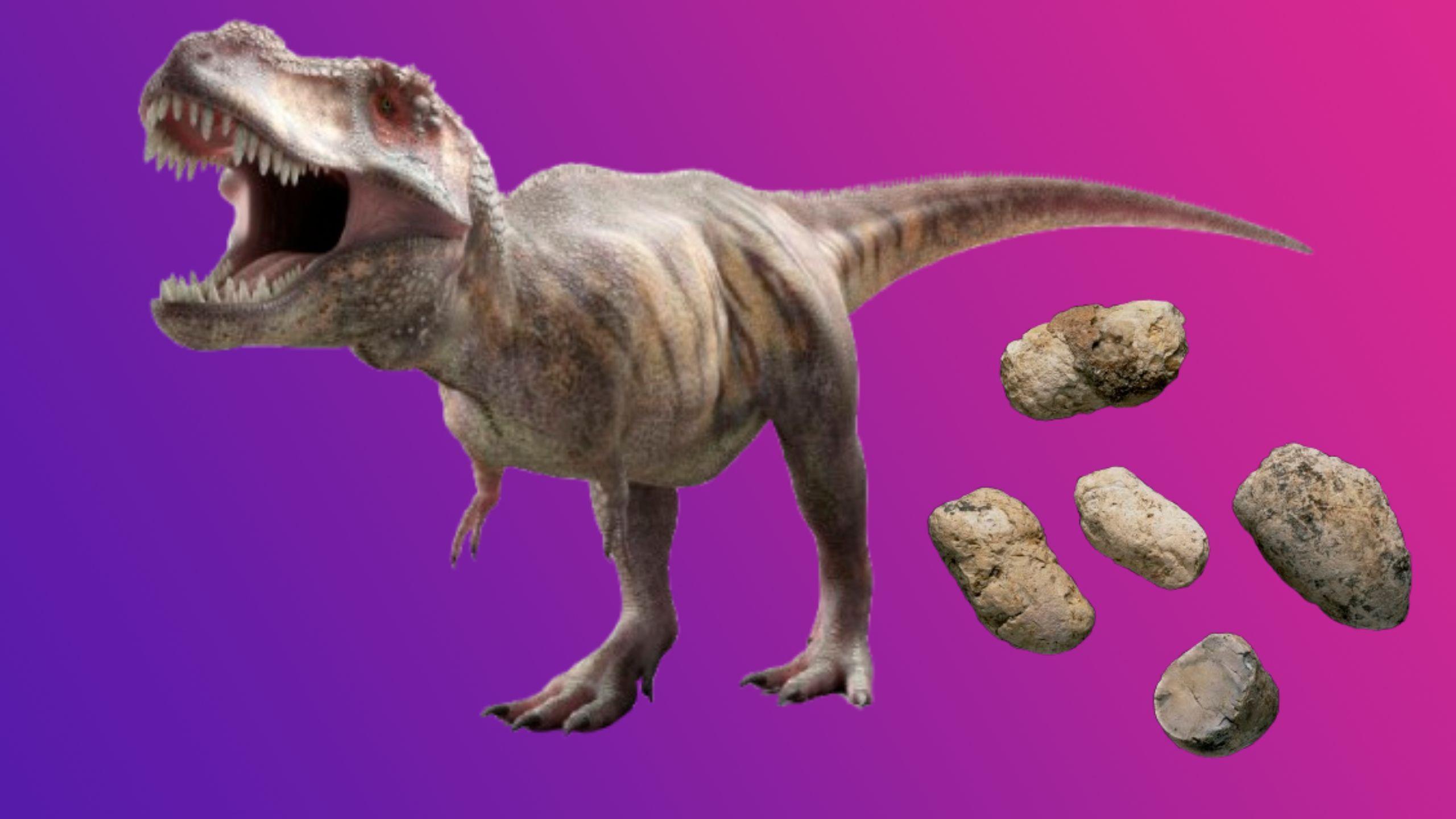 An artists impression of a Tyrannosaurus-Rex on a pink and purple background next to images of five fossilised dinosaur poos.