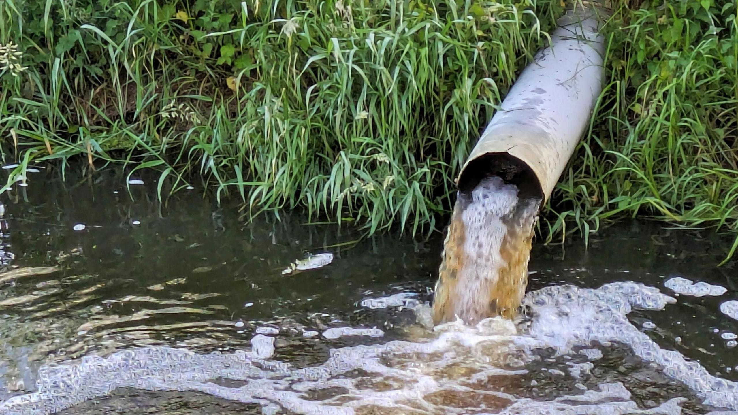 An metal pipe jutting out into a river discharges a brown liquid. There are bubbles on the surface of the river and on the banks is green grass and bracken. The sunlight is reflecting off the water