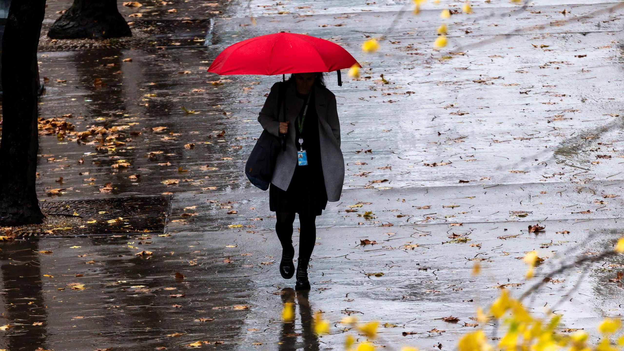 A woman walks down the street holding a red umbrella. The pavement is wet and covered in yellow leaves. 