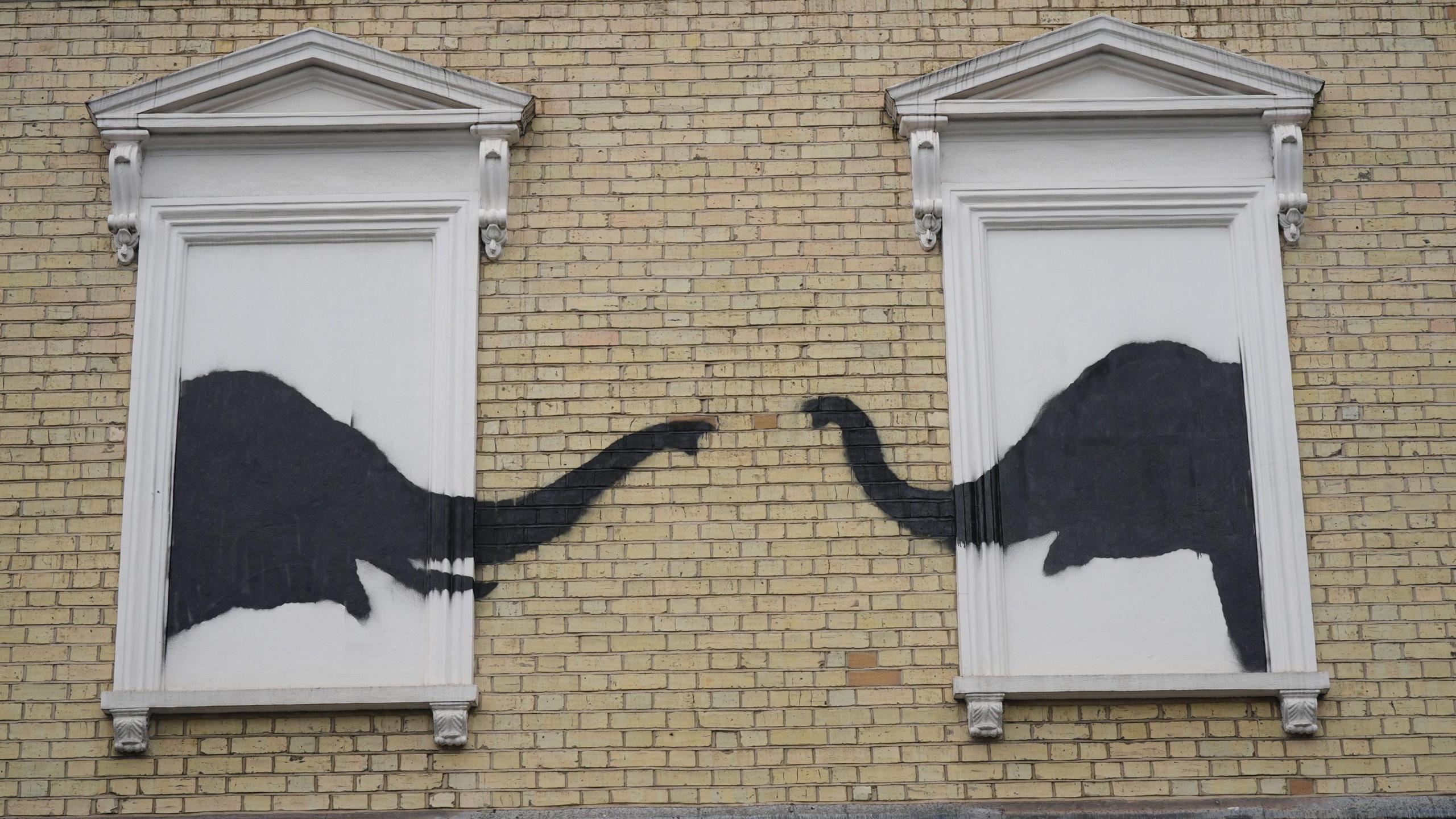 two spraypainted elephants face each other on the wall of a building