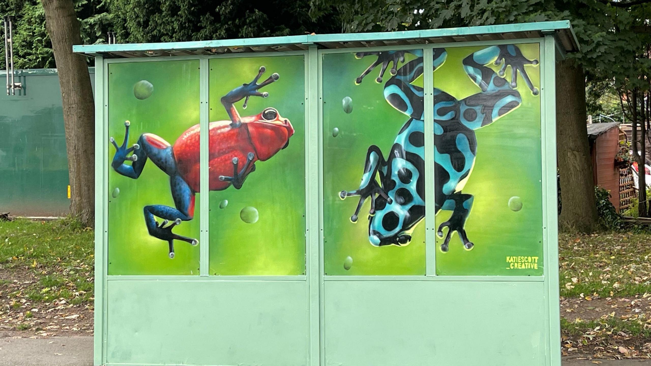 Two tree frogs painted on a bus shelter. The one on the left is red and blue and the one on the right is light blue with black spots and markings. 