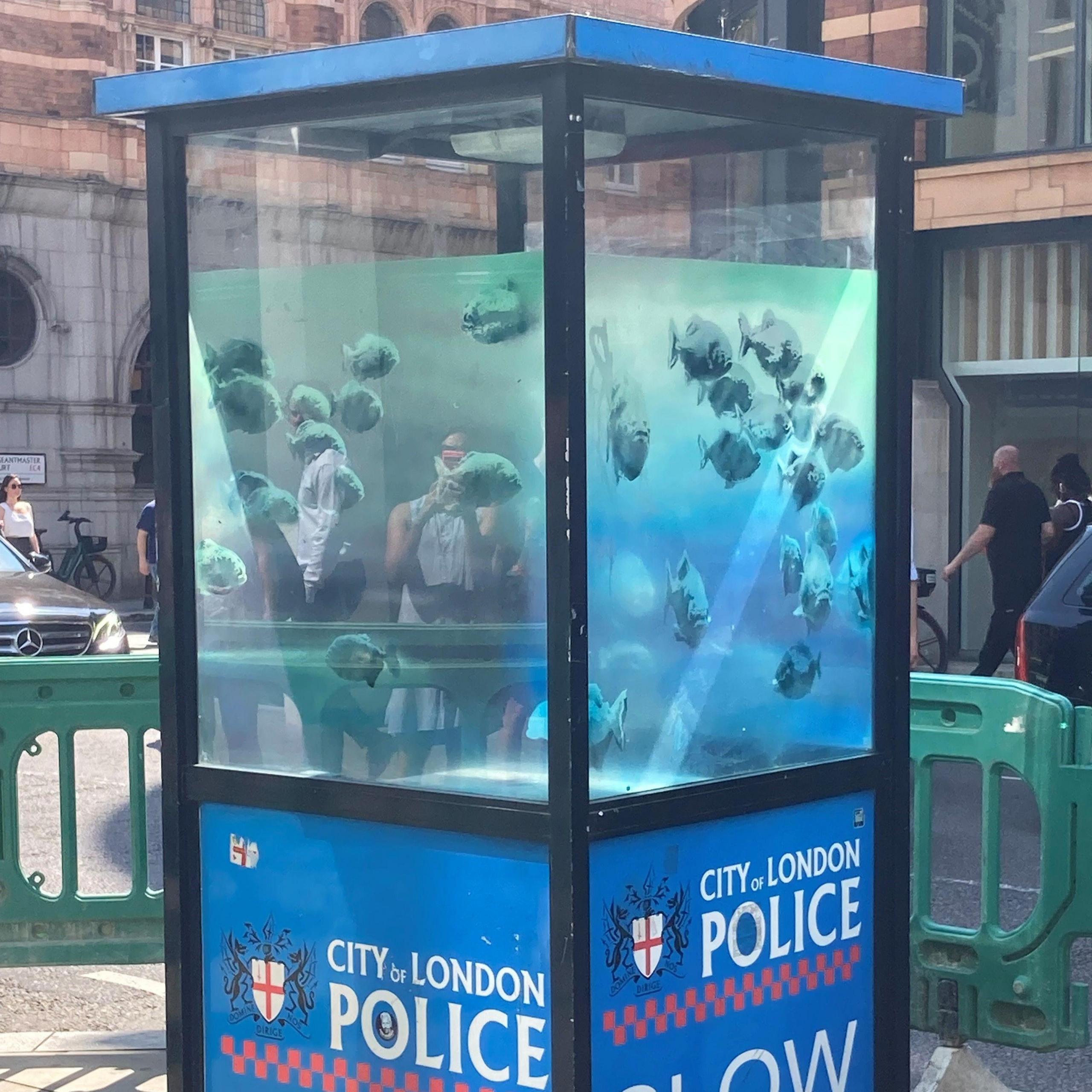 piranhas police box