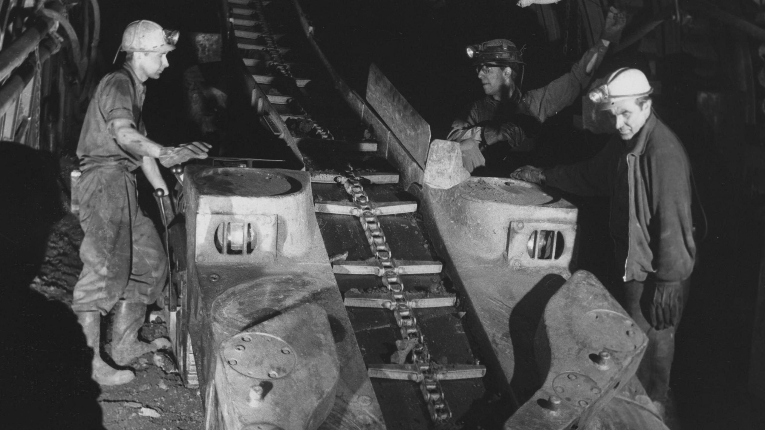 Clofa Cynheidre yn 1961