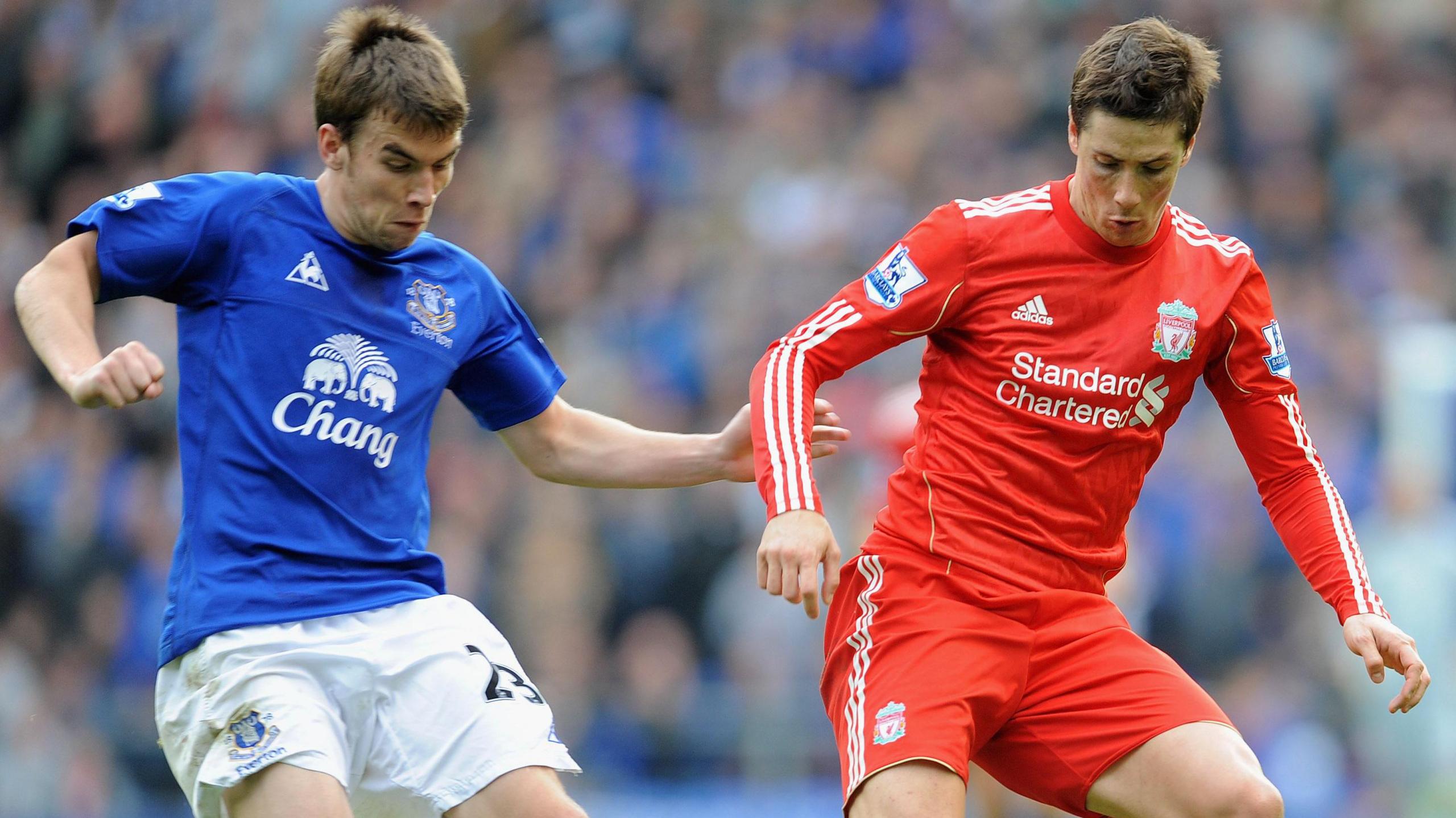 Seamus Coleman and Fernando Torres