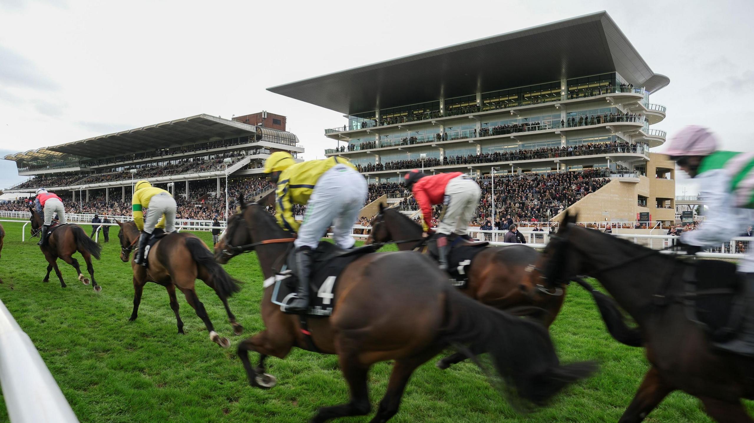 A group of jockeys ride their horses down the finishing straight at Cheltenham Racecourse. In the background the two main grandstands are visible and are packed with racegoers