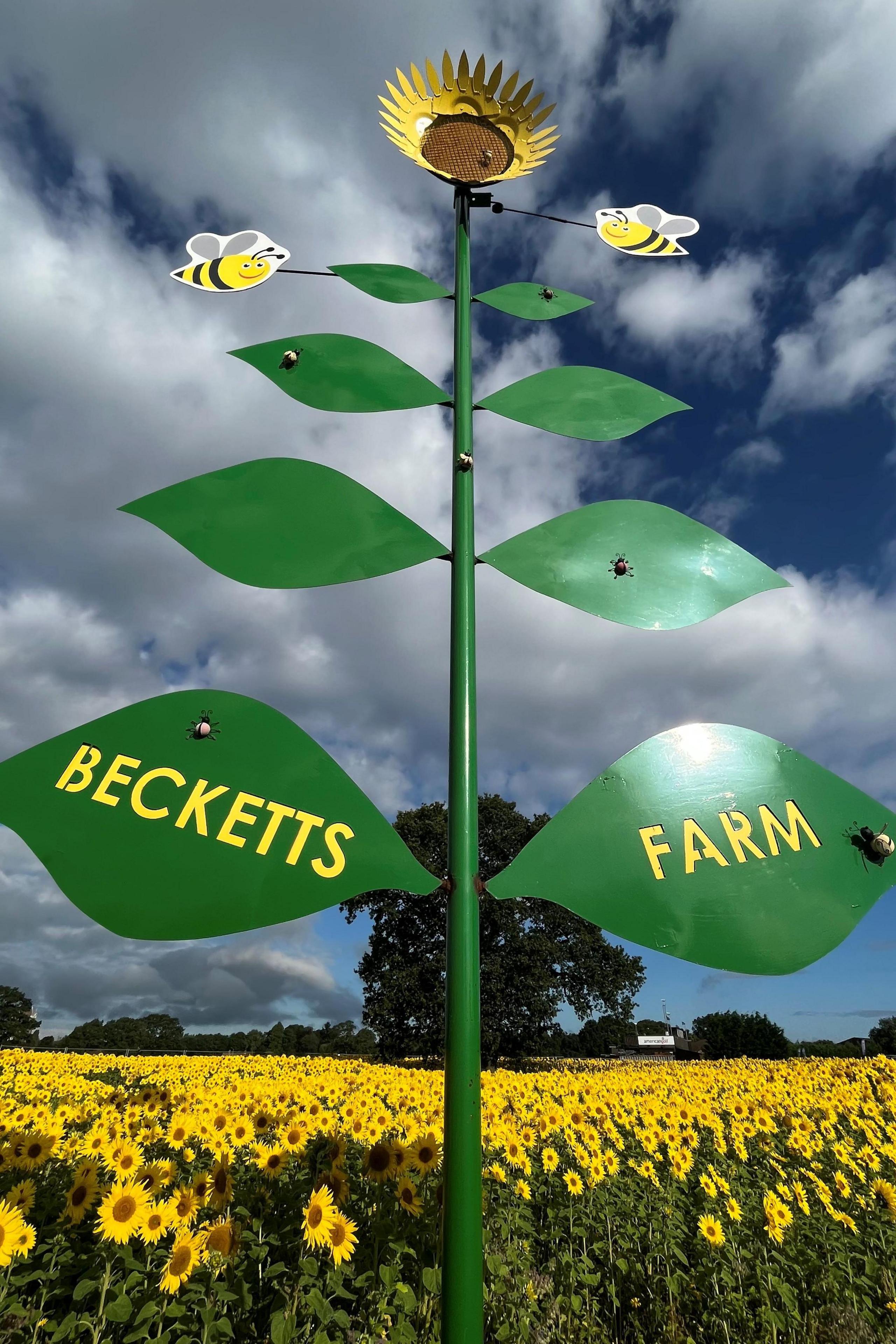 Becketts Farm sunflower statue in the field