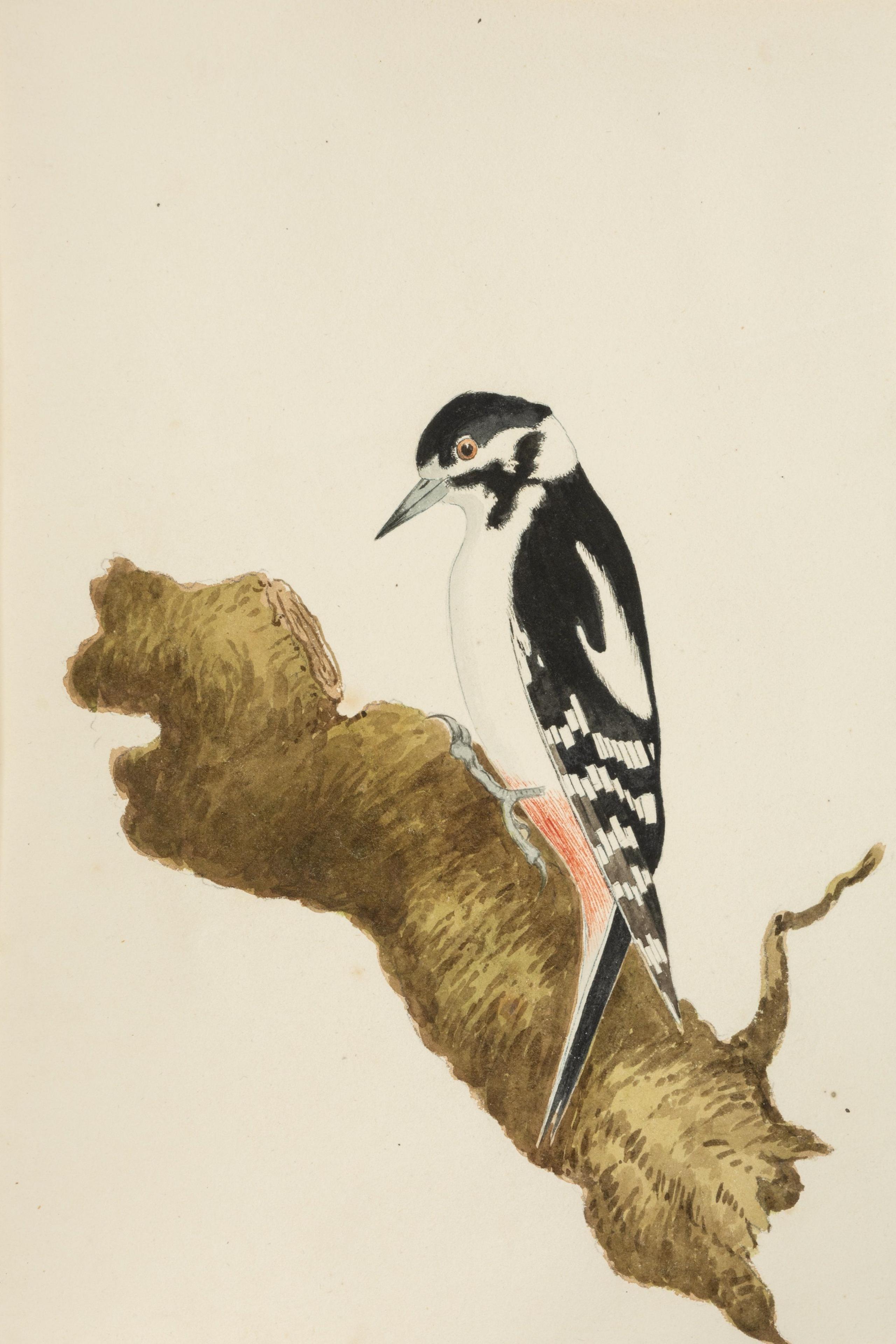 A watercolor painting of a large bird on a tree branch.