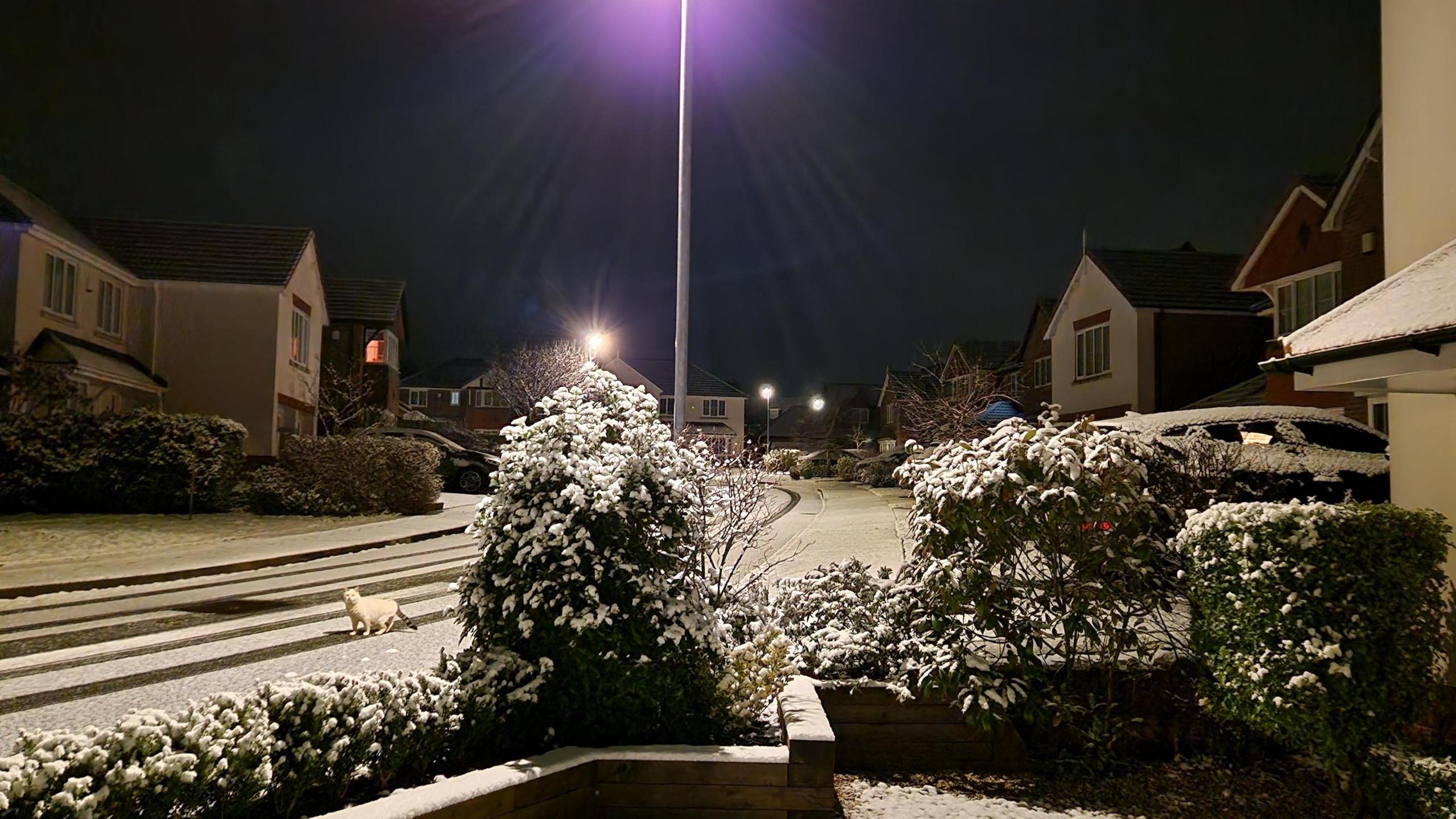 Snow in St Asaph