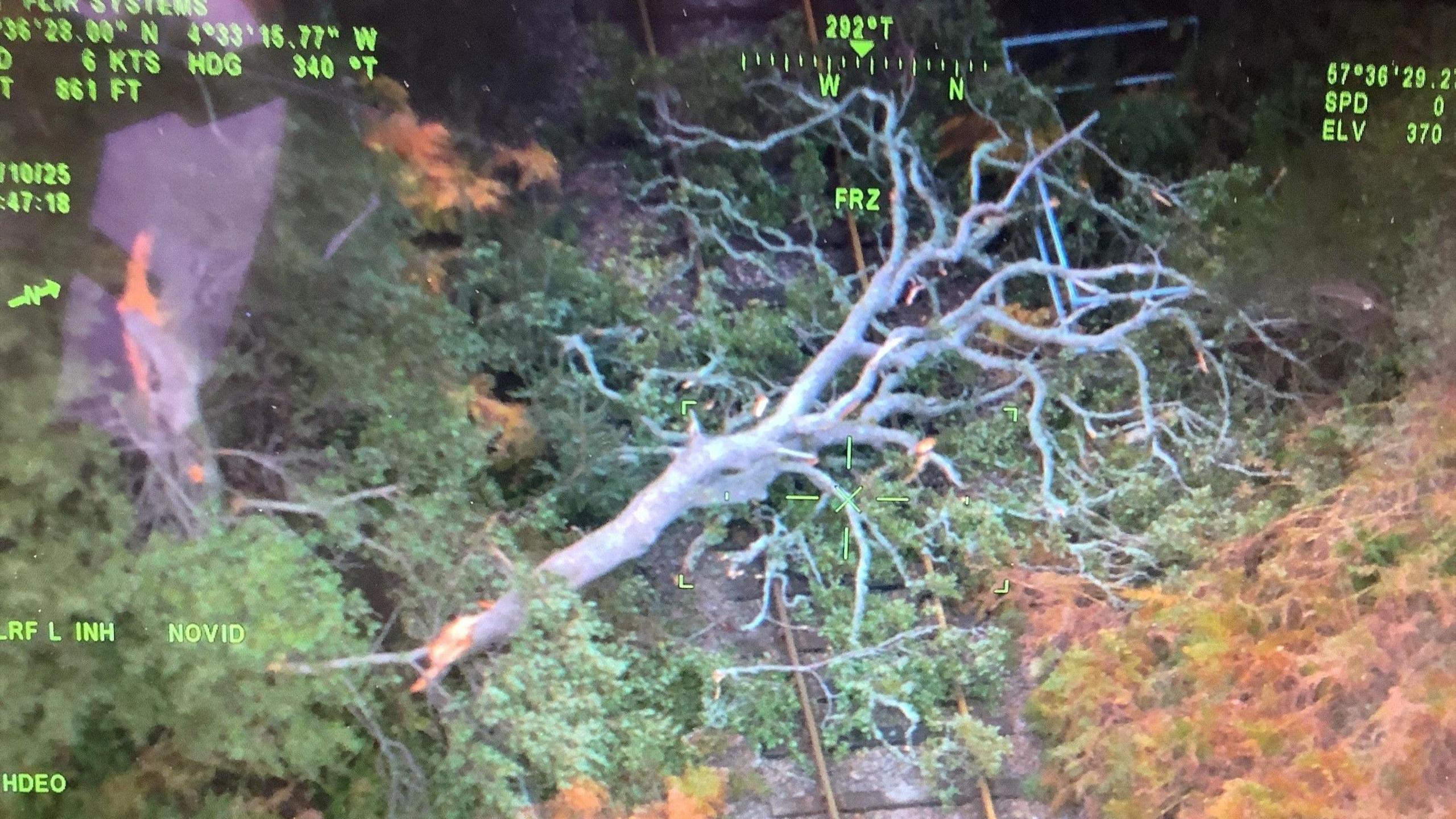 A tree lying across train tracks viewed from a helicopter. The trunk of the tree is light-coloured. It has green leaves. It is stretched across a dark coloured railway track.