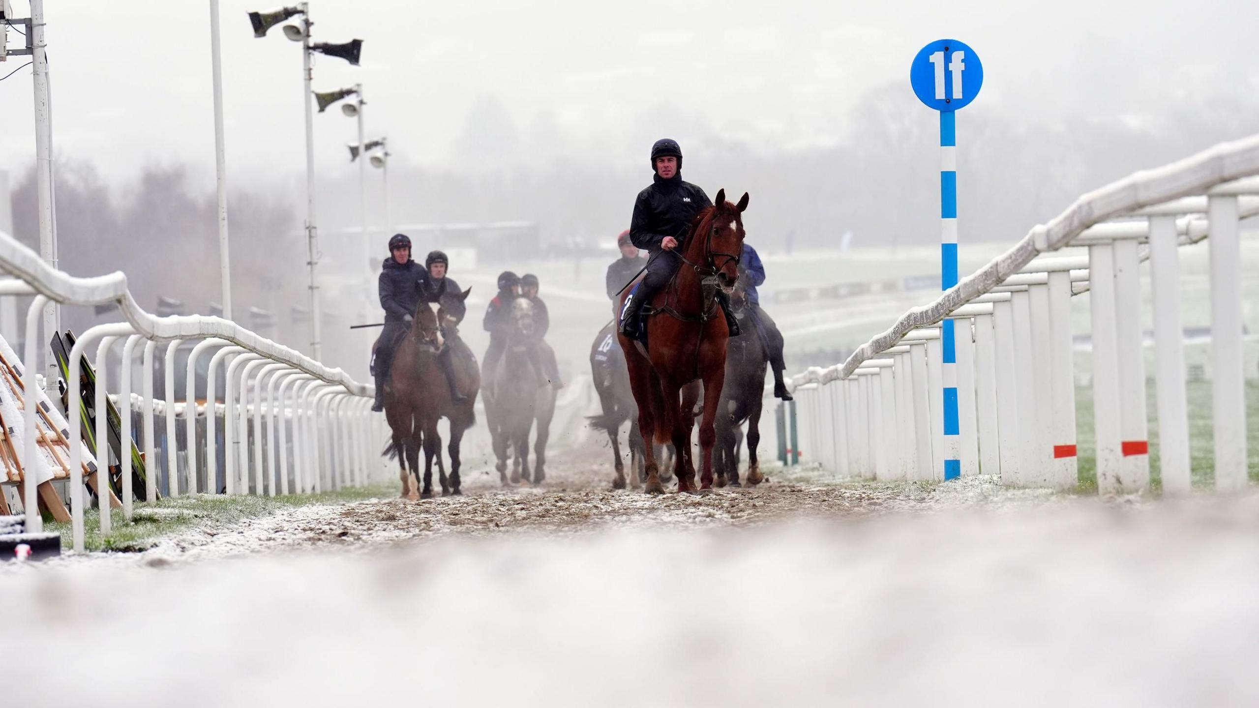 Several jockeys are exercising their horses on a snow covered track at the Cheltenham Festival on the second day of the four day event. They are trotting between some white barriers.