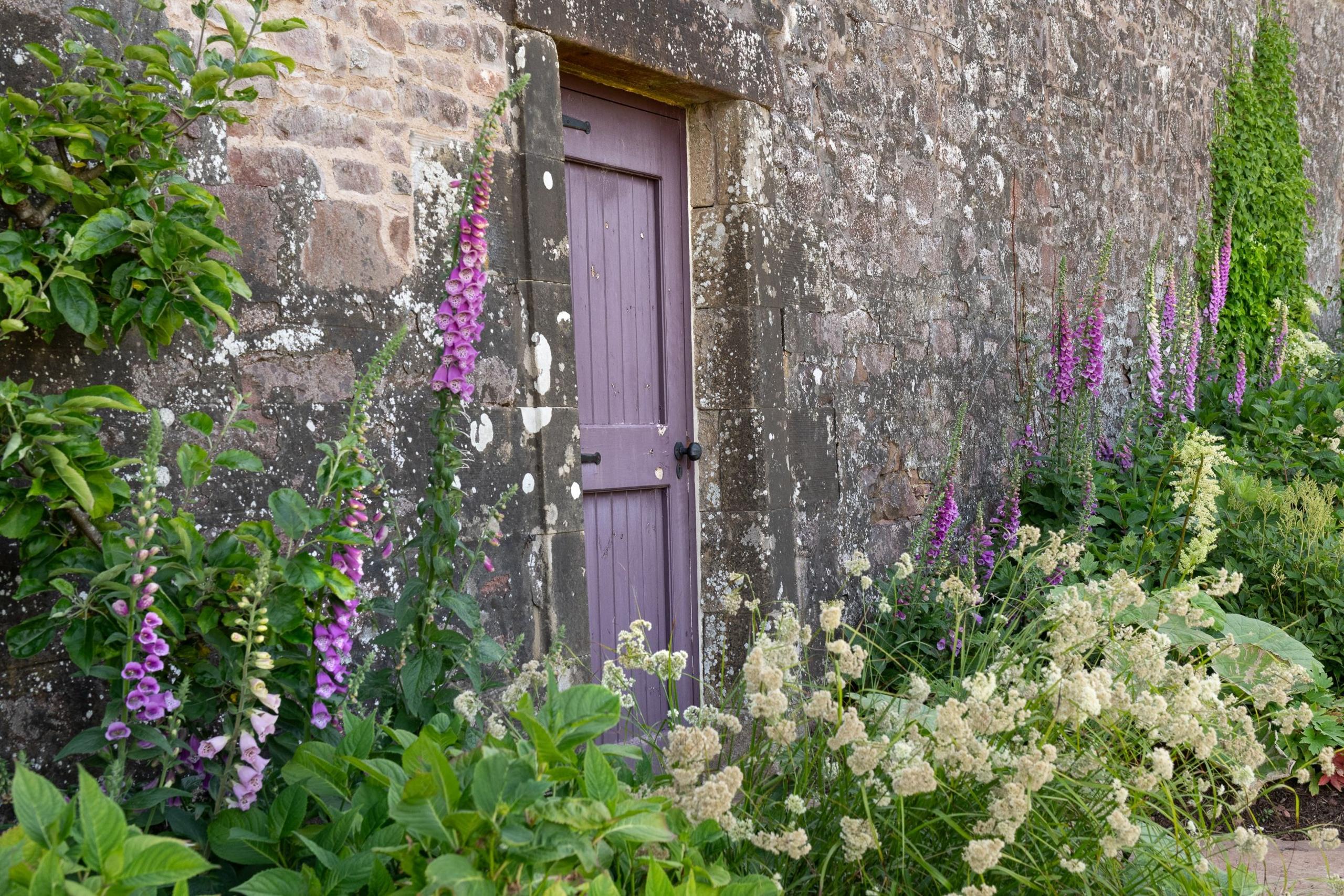 A door in a walled garden surrounded by purple and white flowers