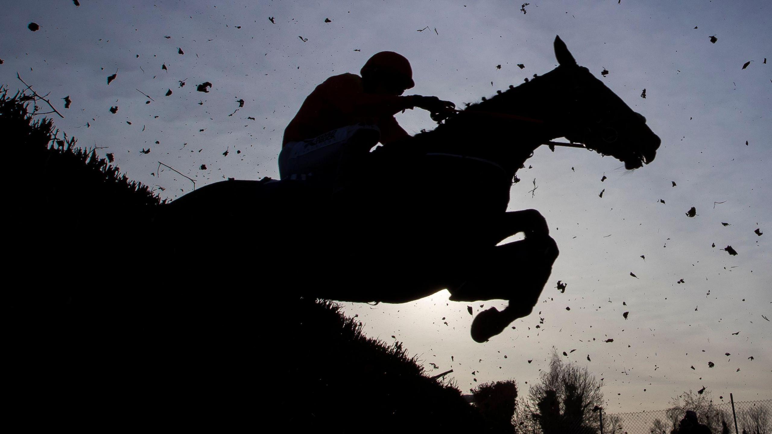 A horse makes a jump at Thurles racecourse