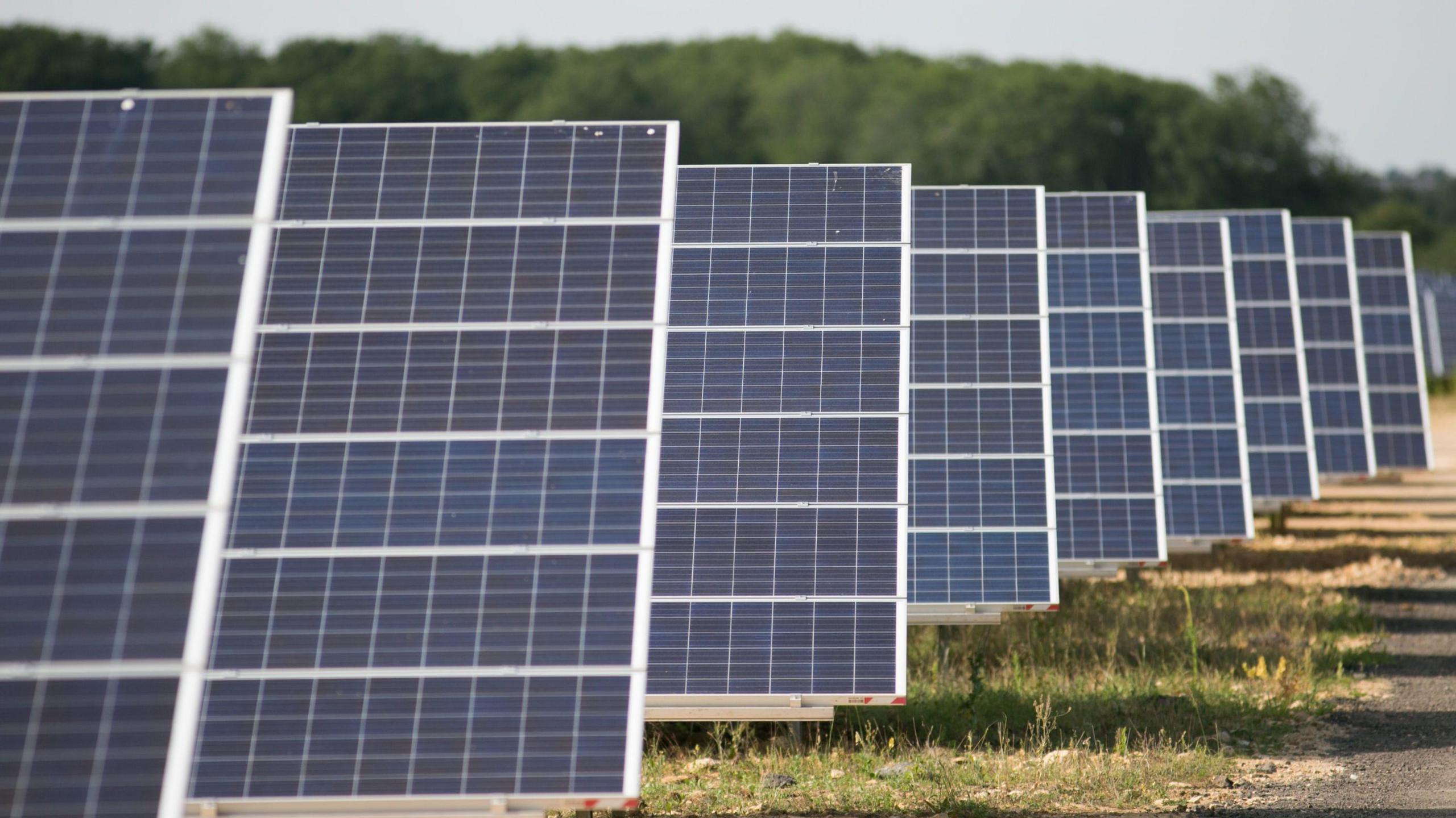 Rows of solar panels on a field.