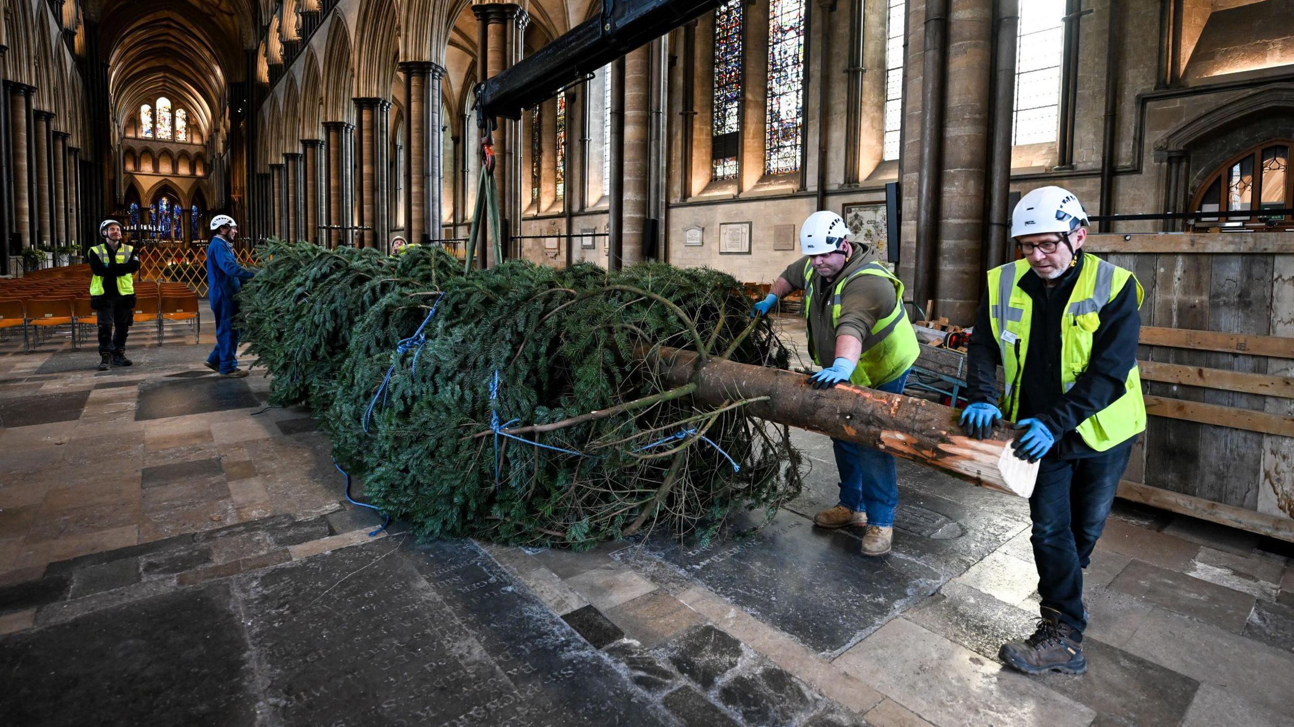 Workmen in high-vis jackets and hard helmets carry a huge Christmas tree through one of the ancient corridors at Salisbury Cathedral.