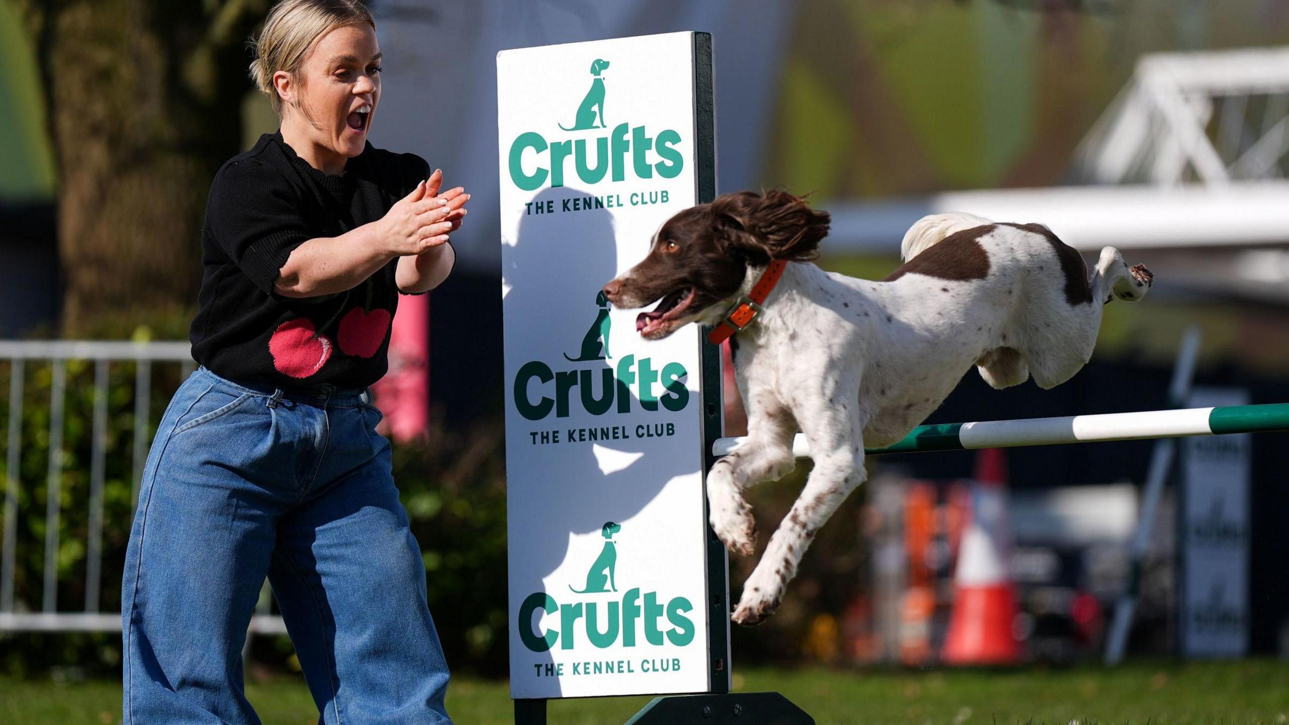 Ellie Simmonds, in black T-shirt and blue denim jeans, claps her hands as a springer spaniel, with brown fur on its head and white fur, speckled with brown, jumps over a bar. The bar is green and white striped with a poster at one end. The poster has the words "Crufts - The Kennel Club" written on it three times, under their logo of a sitting dog.