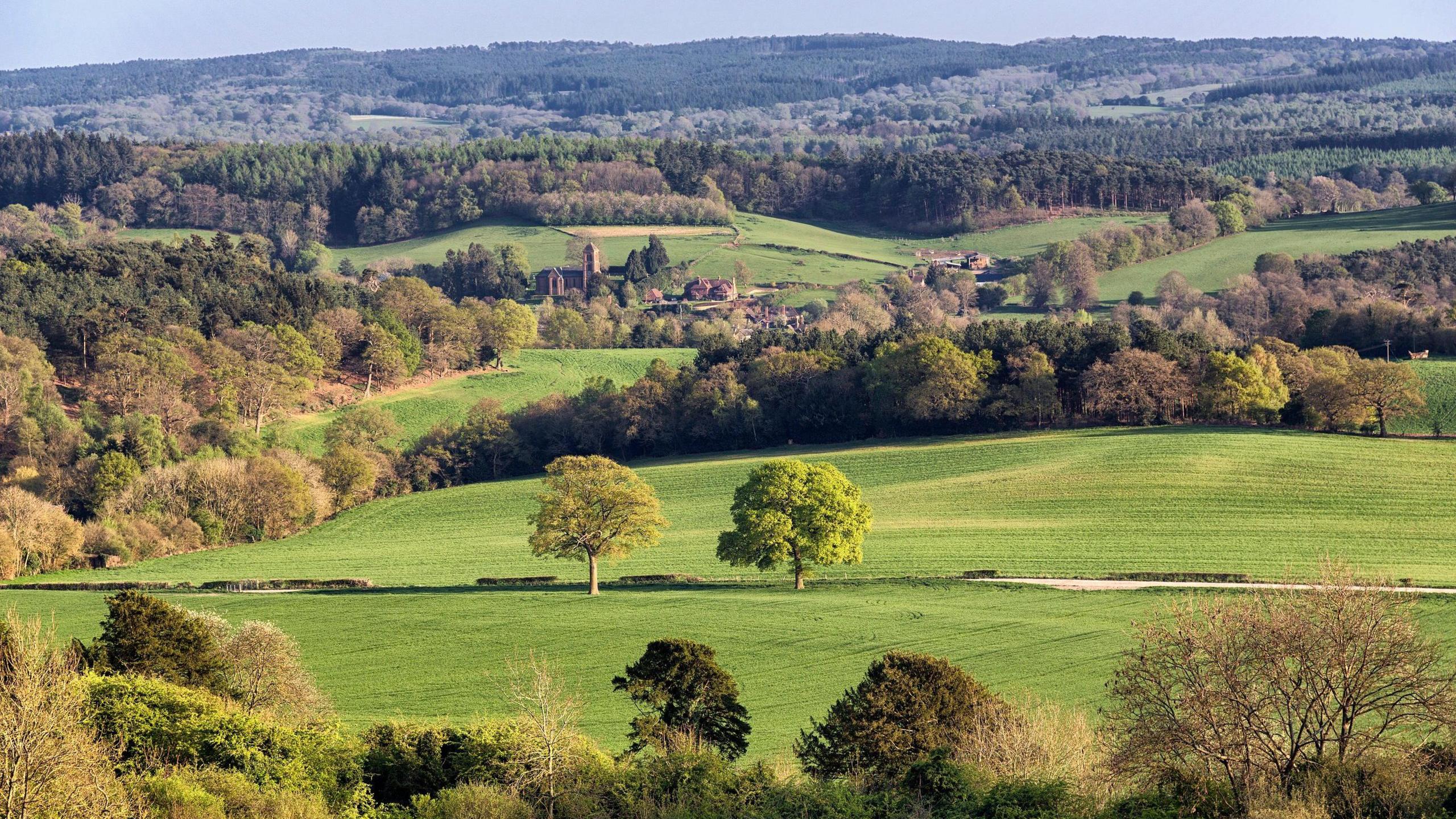 A view of Newlands Corner near Guildford, with green fields and trees, showing a typical scene of the Surrey countryside.