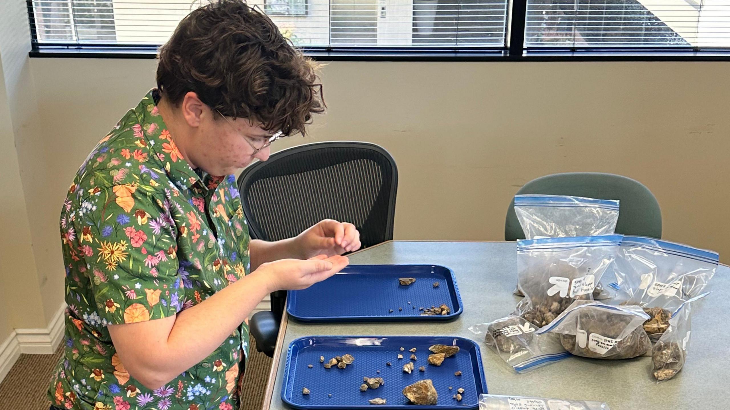 student sorting through fossils