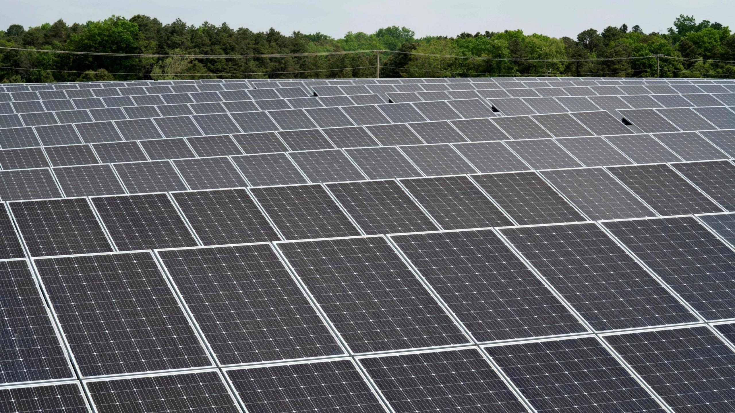 An image of a solar farm with trees in the background