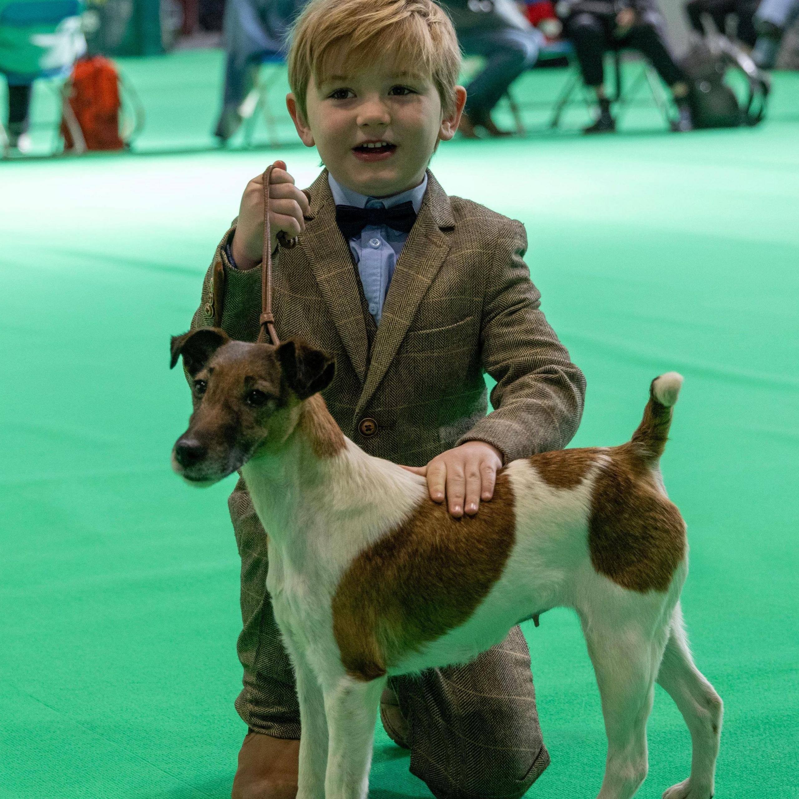 A young boy in a tweed suit called Freddie holds a dog lead and his smooth haired fox terrier Penny. He kneels next to the dog on a green carpet at Crufts Dog show.