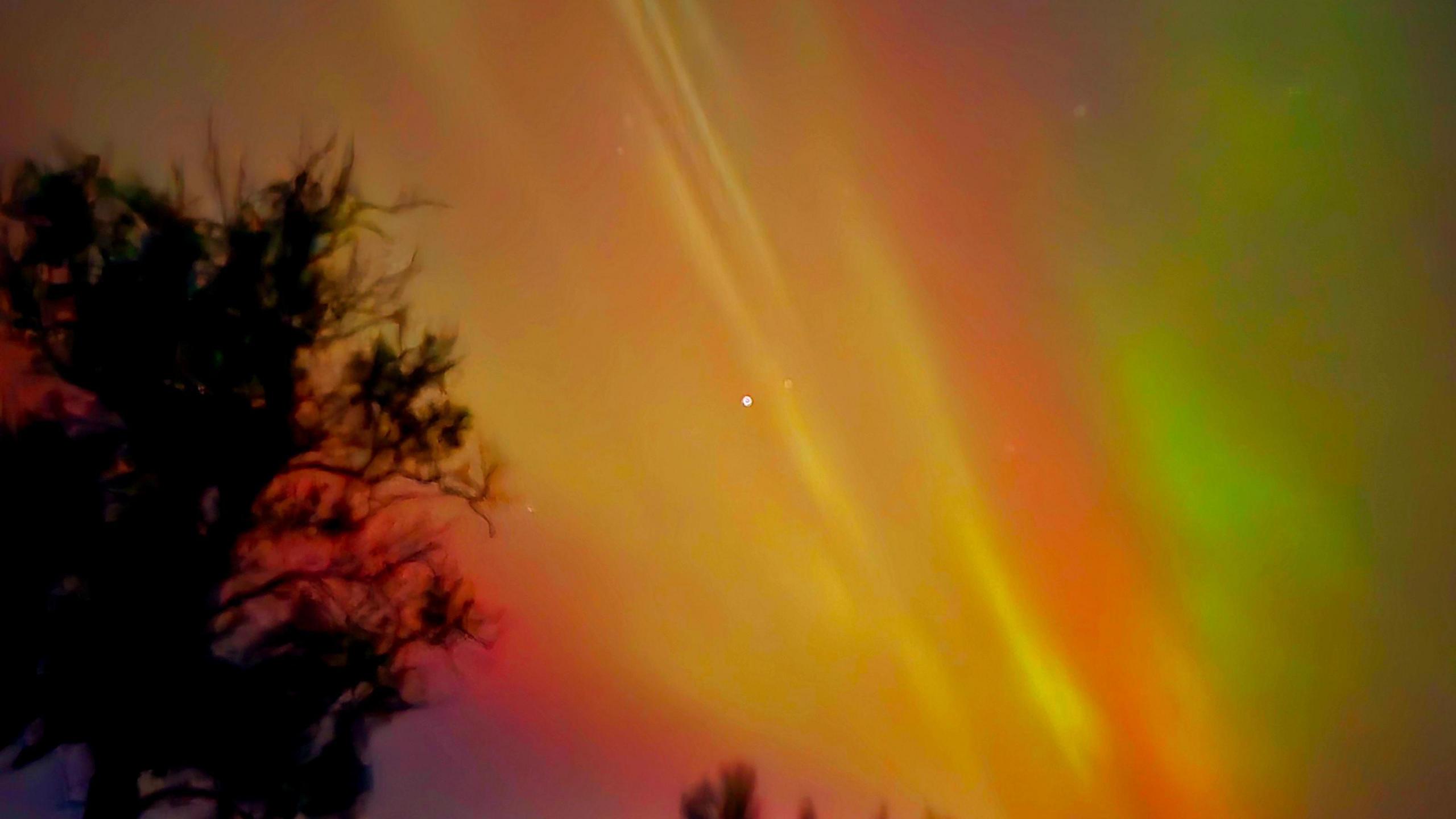 A mix of red yellow orange and green lights are scattered across the clear night sky with stars also visible.  Below are black silhouettes of trees.