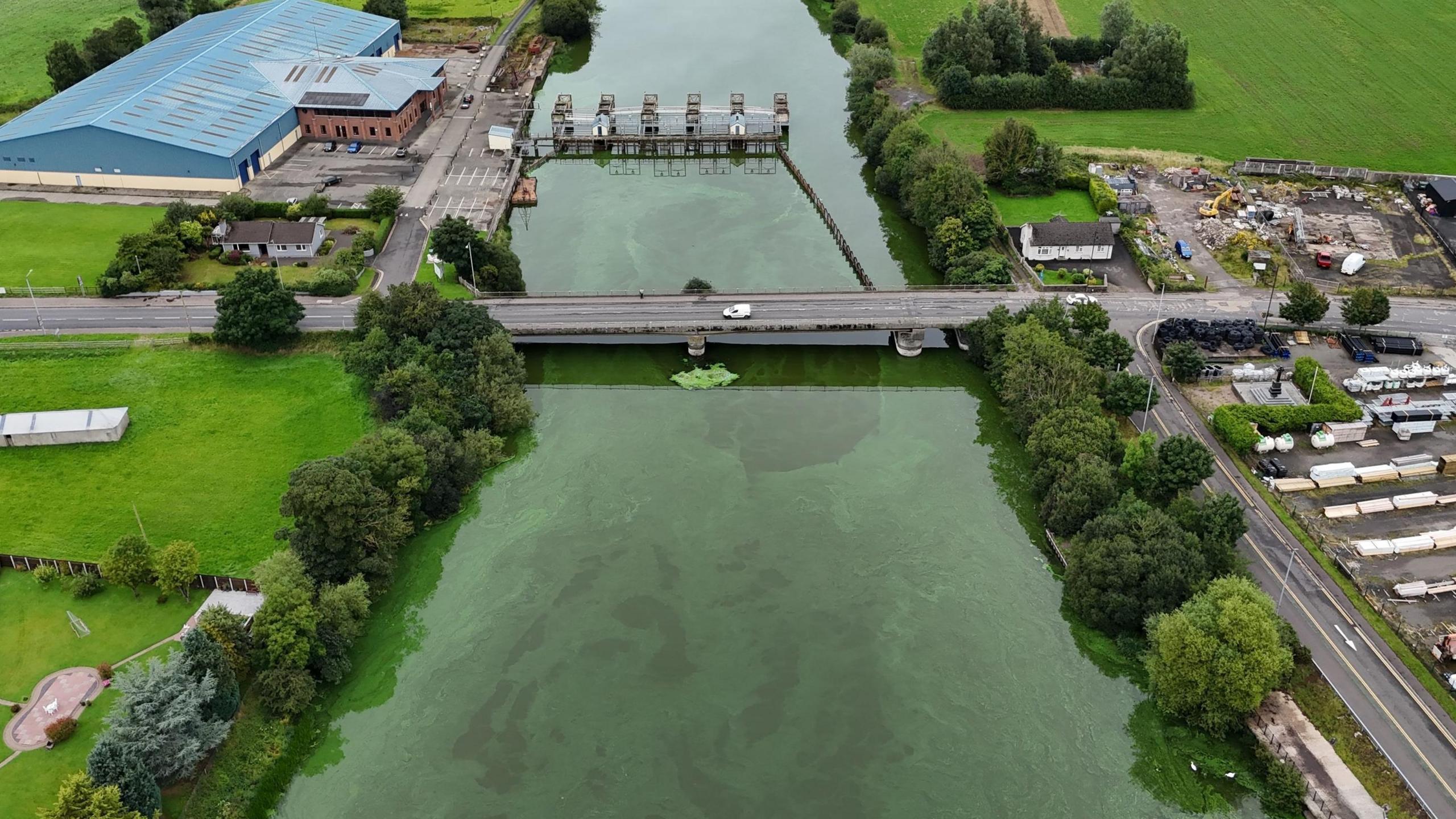 An aerial image of the River Bann. The water is noticeably green in colour. On either side you can see green fields and industrial-style sites. A road bridge crosses the water in the middle of the image. 