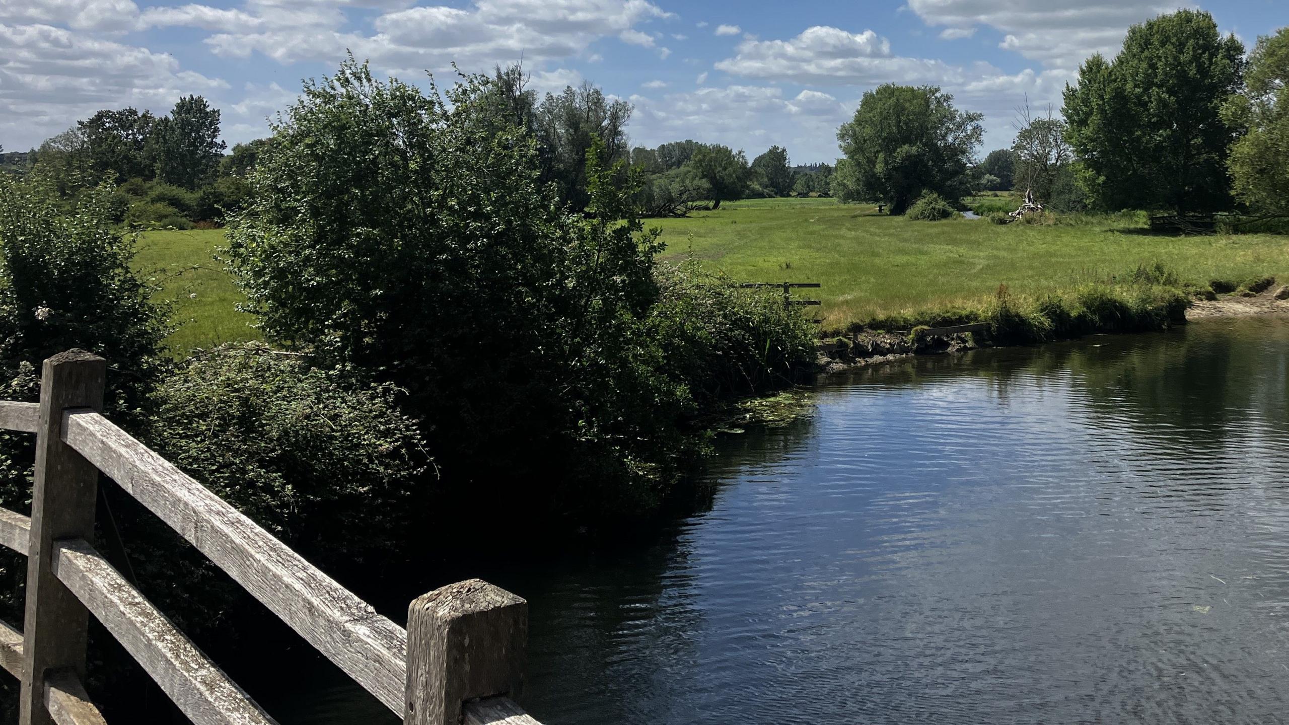 A idyllic scene of a river with trees and a meadow. There is a blue sky with white cumulus cloud.