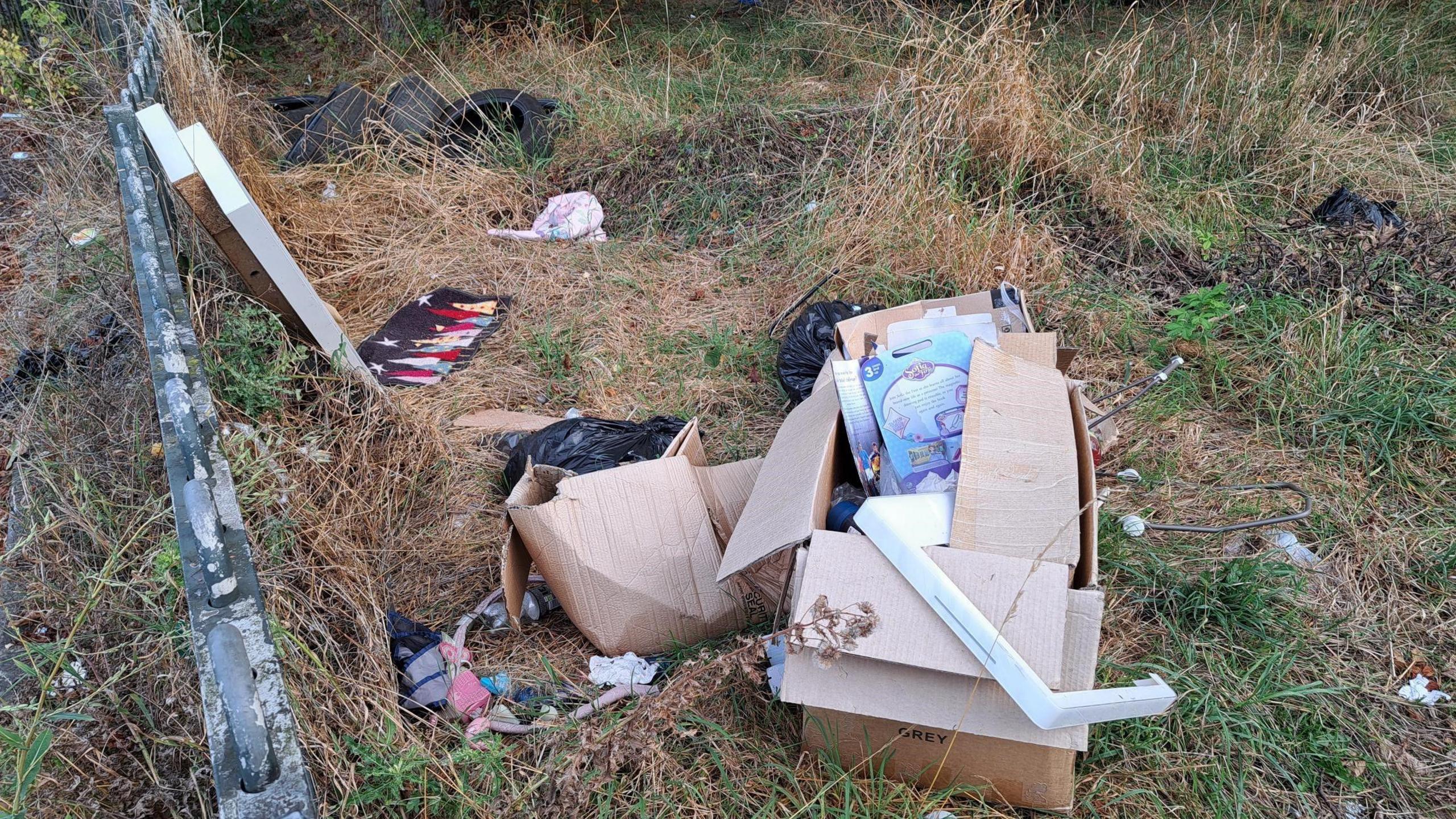 A box of rubbish of old books and children’s toys left next to railings on Hermes Crescent on the Manor Farm estate in Coventry