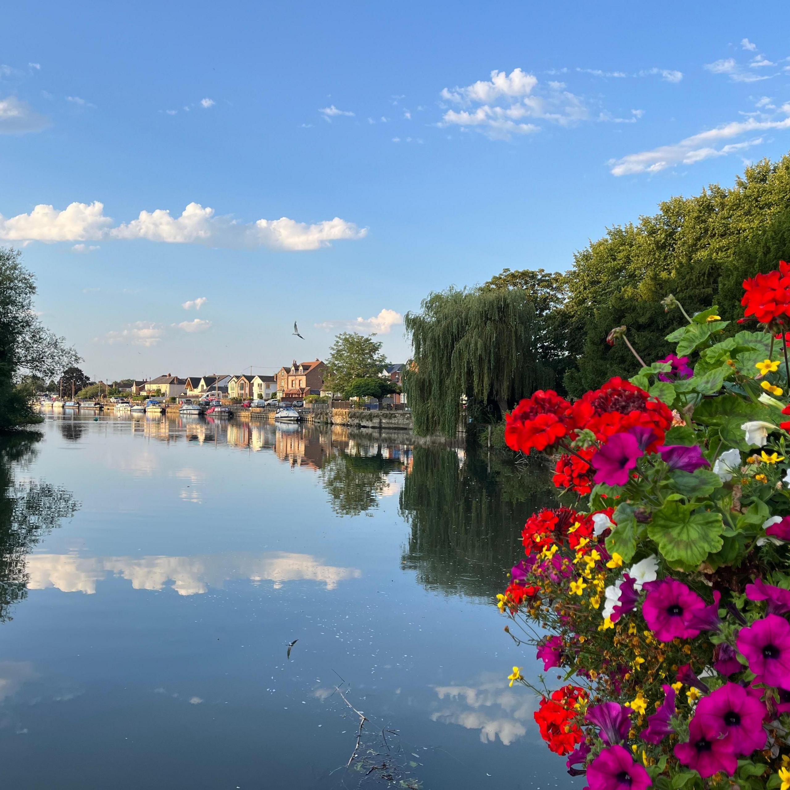 A river with flat water with a bunch of colourful flowers in the foreground. At the edge of the river is a willow tree and a line of colourful houses, all perfectly reflected in the water