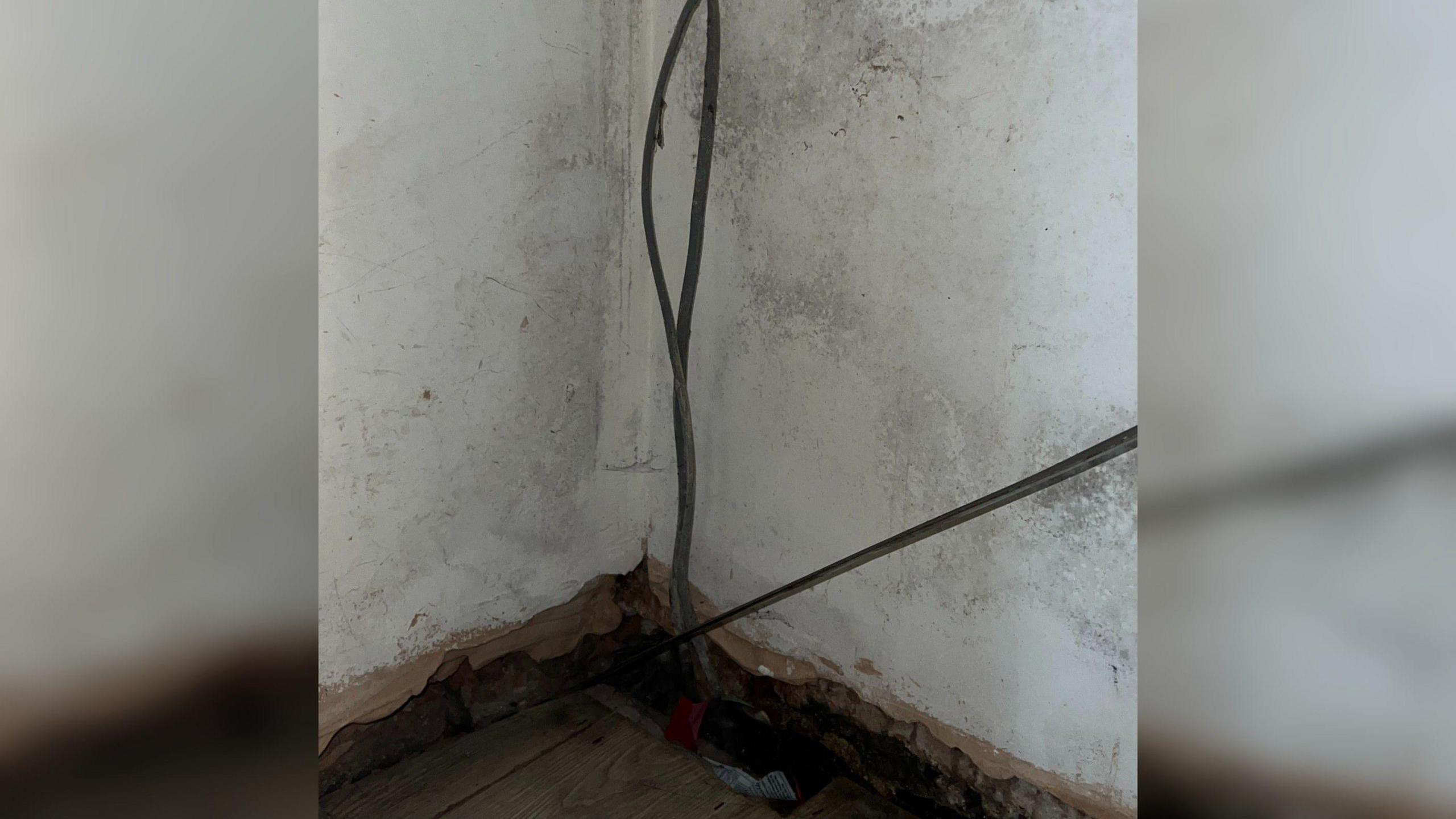 A mouldy white wall with loose wires.