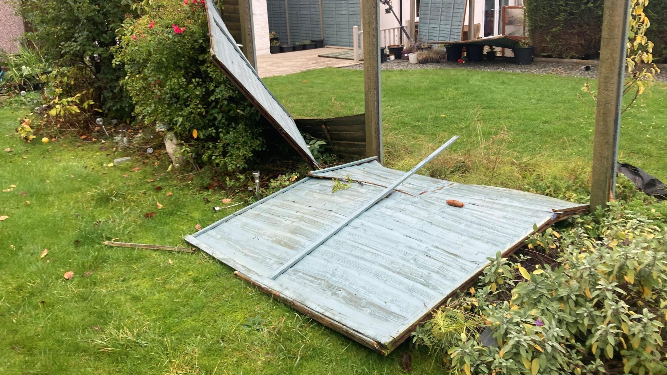 Two blue fence panels blown over in between to grassy garden spaces behind two semi-detached houses