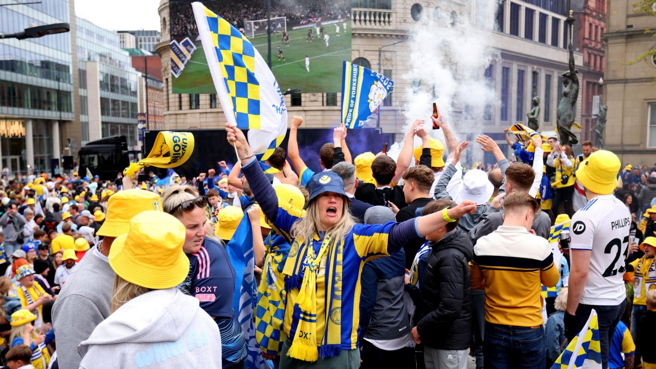 Fan waving a flag amid a crowd of fans