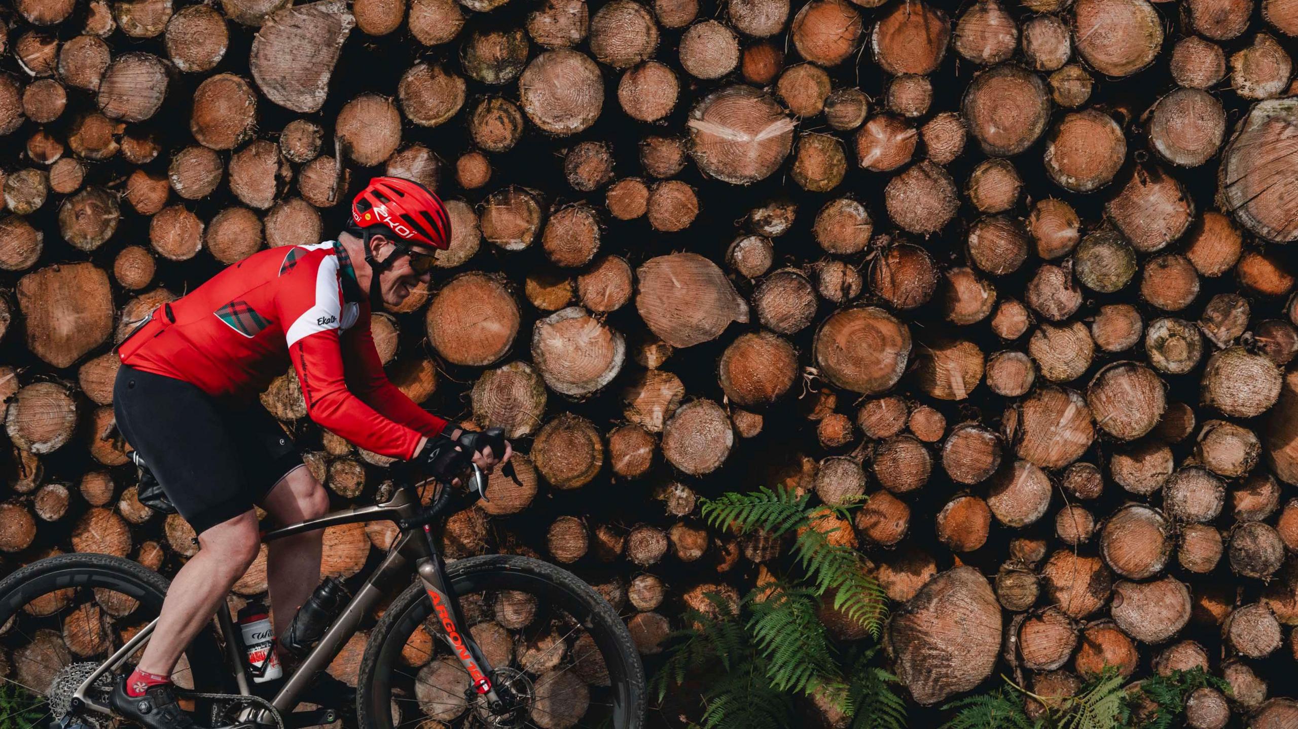 A cyclist in a red top pedals past a wall of chopped trees