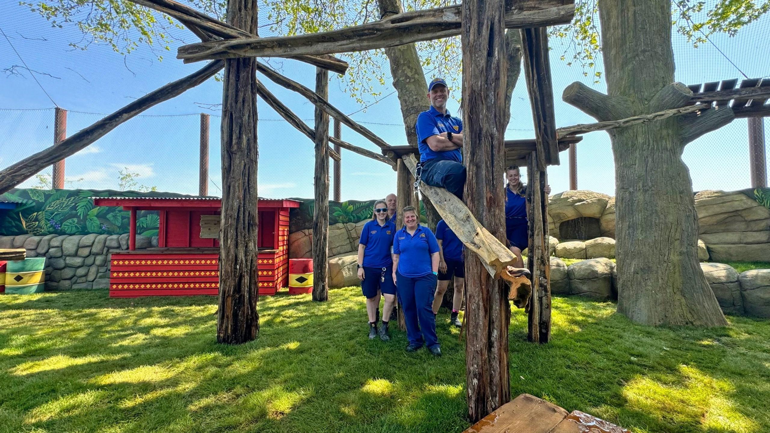 Drusillas workers in the enclosure