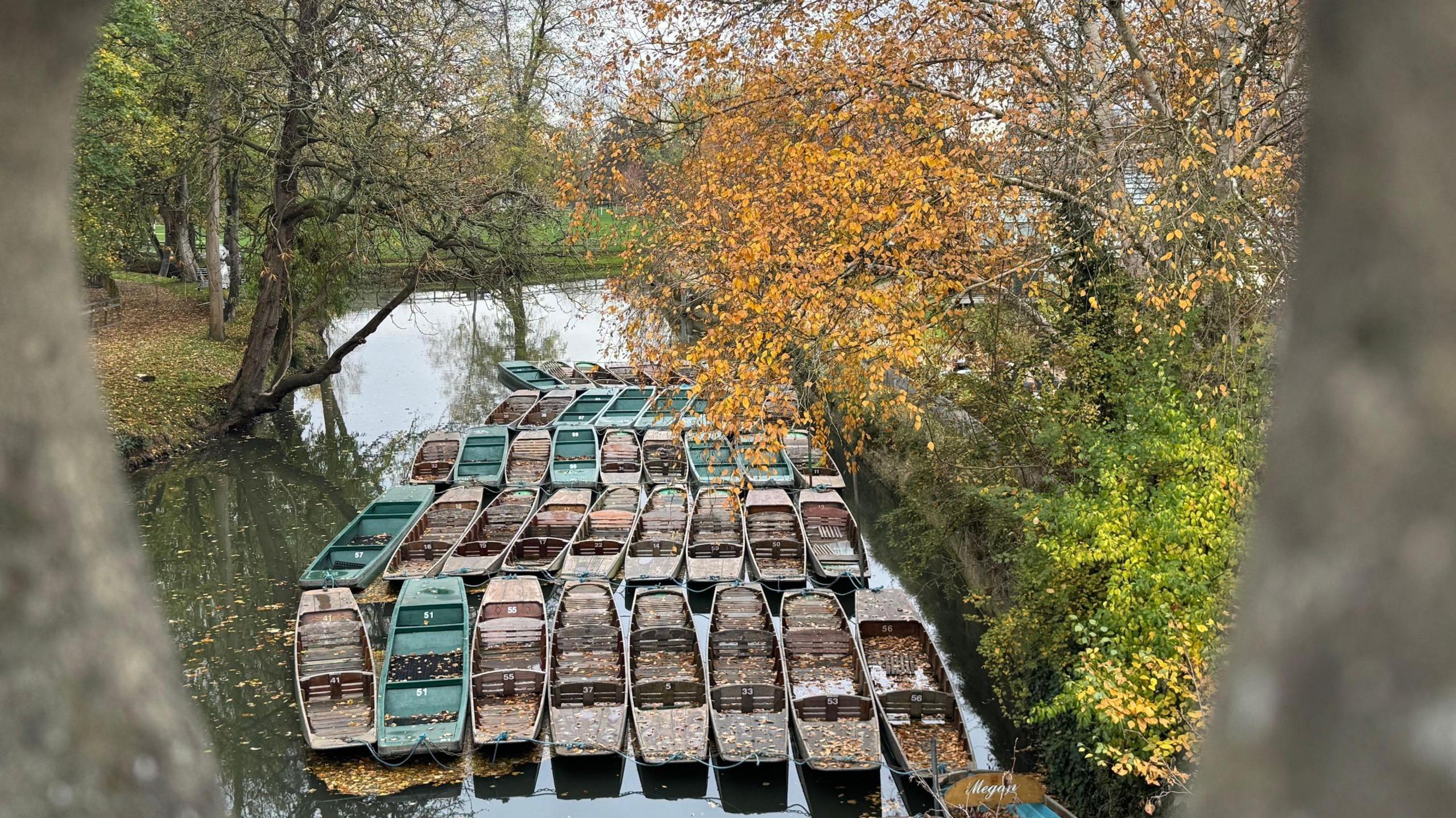 Four rows of punts tied up in the river in Oxford. They are viewed through the pillars of a bridge. There is a tree overhead with brown leaves.