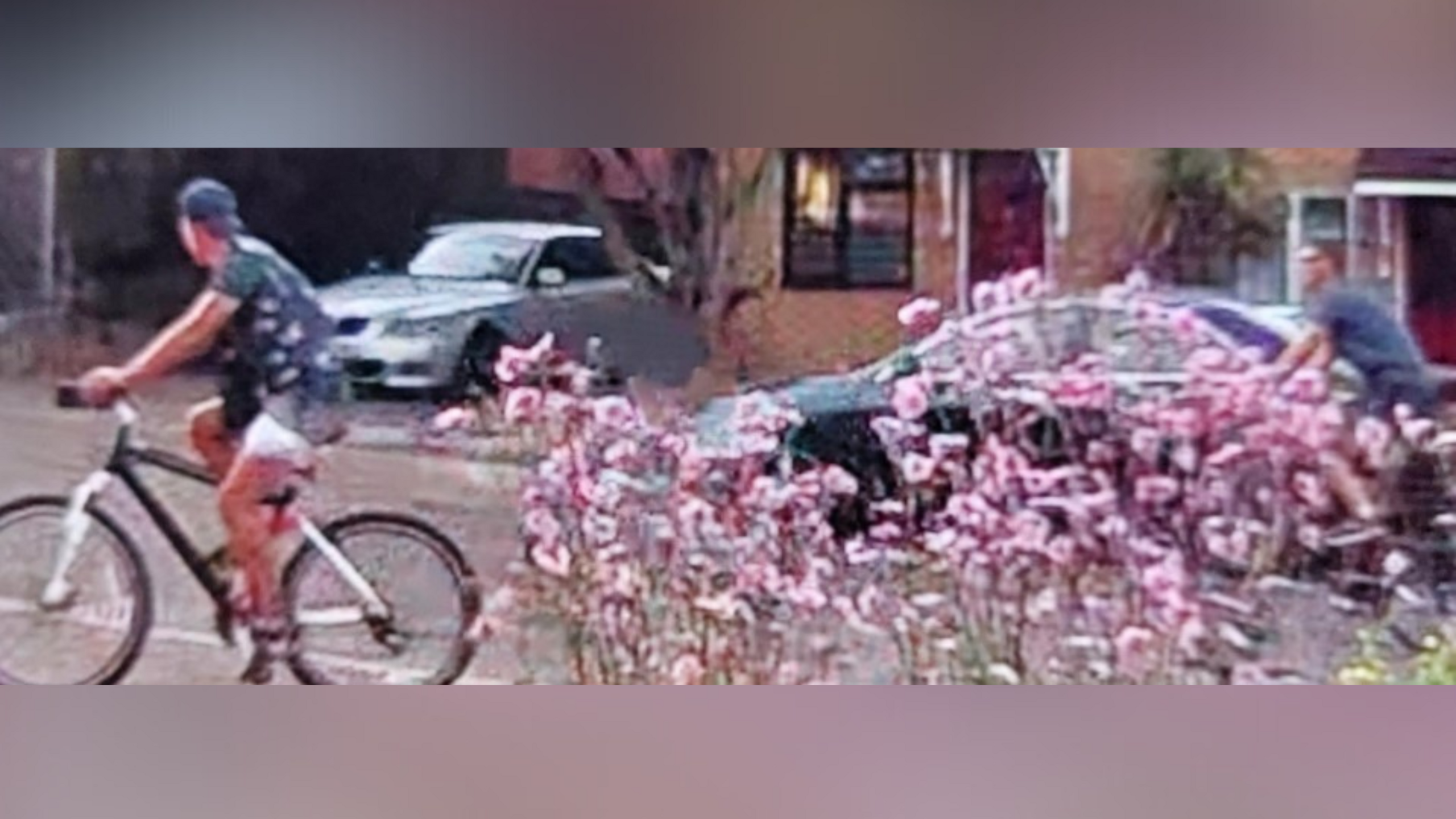 A blurry CCTV image of two men riding on bikes through a residential area. One is dressed in shorts and a dark T-shirt with a backwards baseball hat. The other is wearing a blue T-shirt. There is a house behind them and a blossom to the front of the photo.