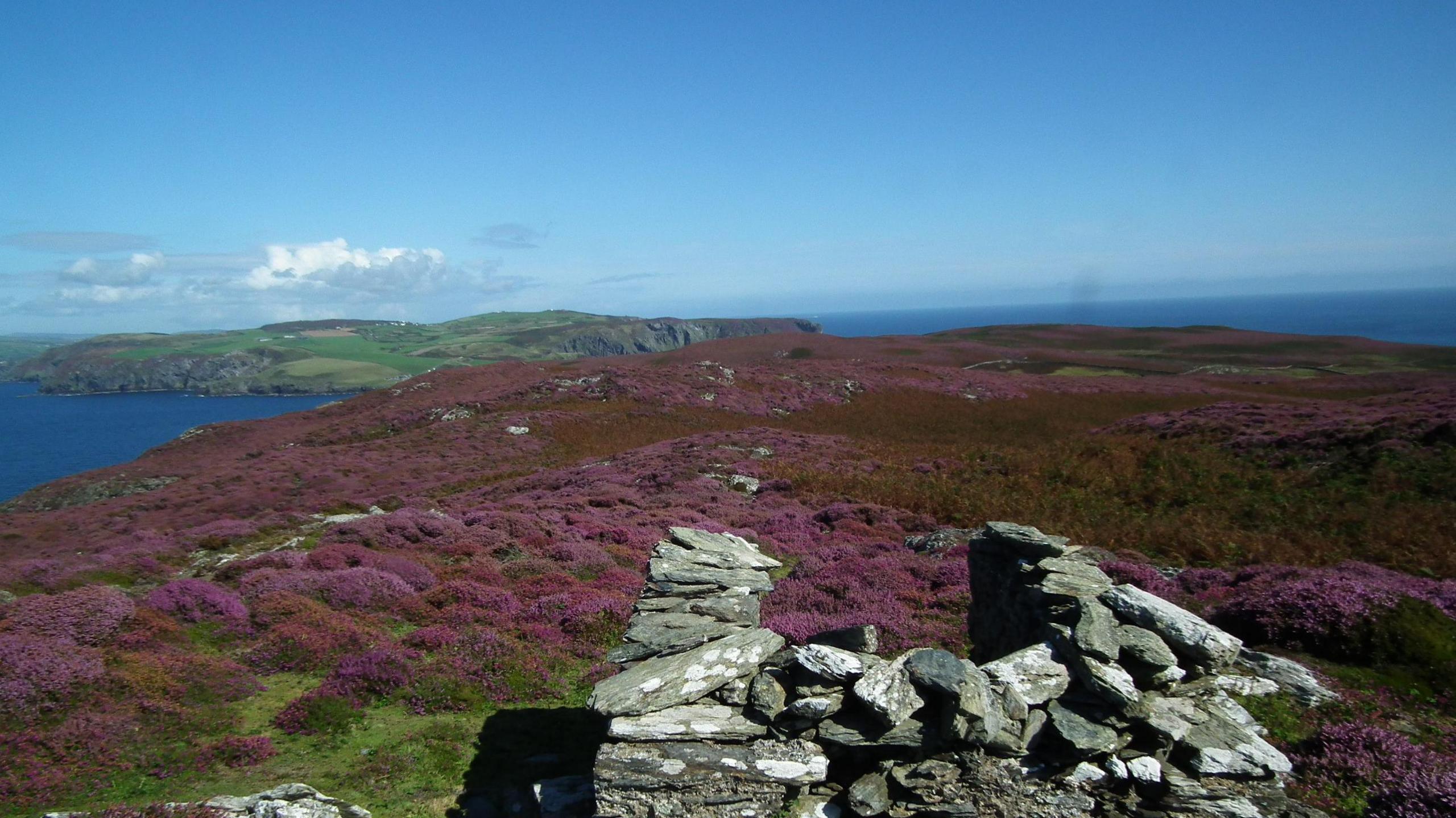 A view from the Calf that shows the Isle of Man in the background. There is heather on the ground and a stone wall.