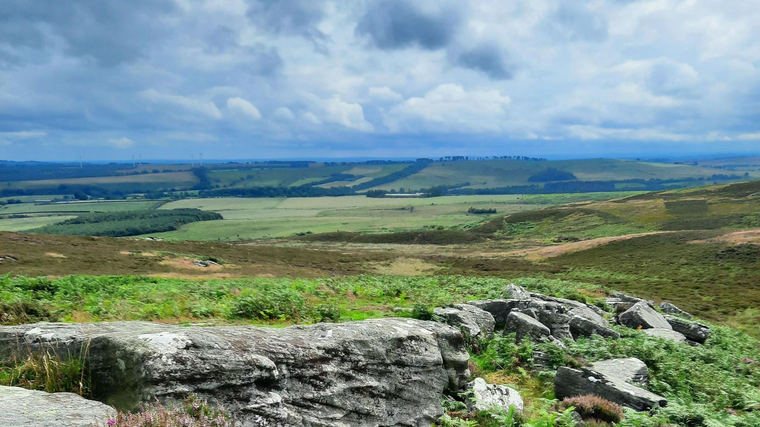 A picture showing the dramatic landscape of the Simonside Hills on the Rothbury Estate. In what appears to be a picture postcard of patchwork countryside, there are rocks at the front of the image with shrubbery. The sky is cloudy.