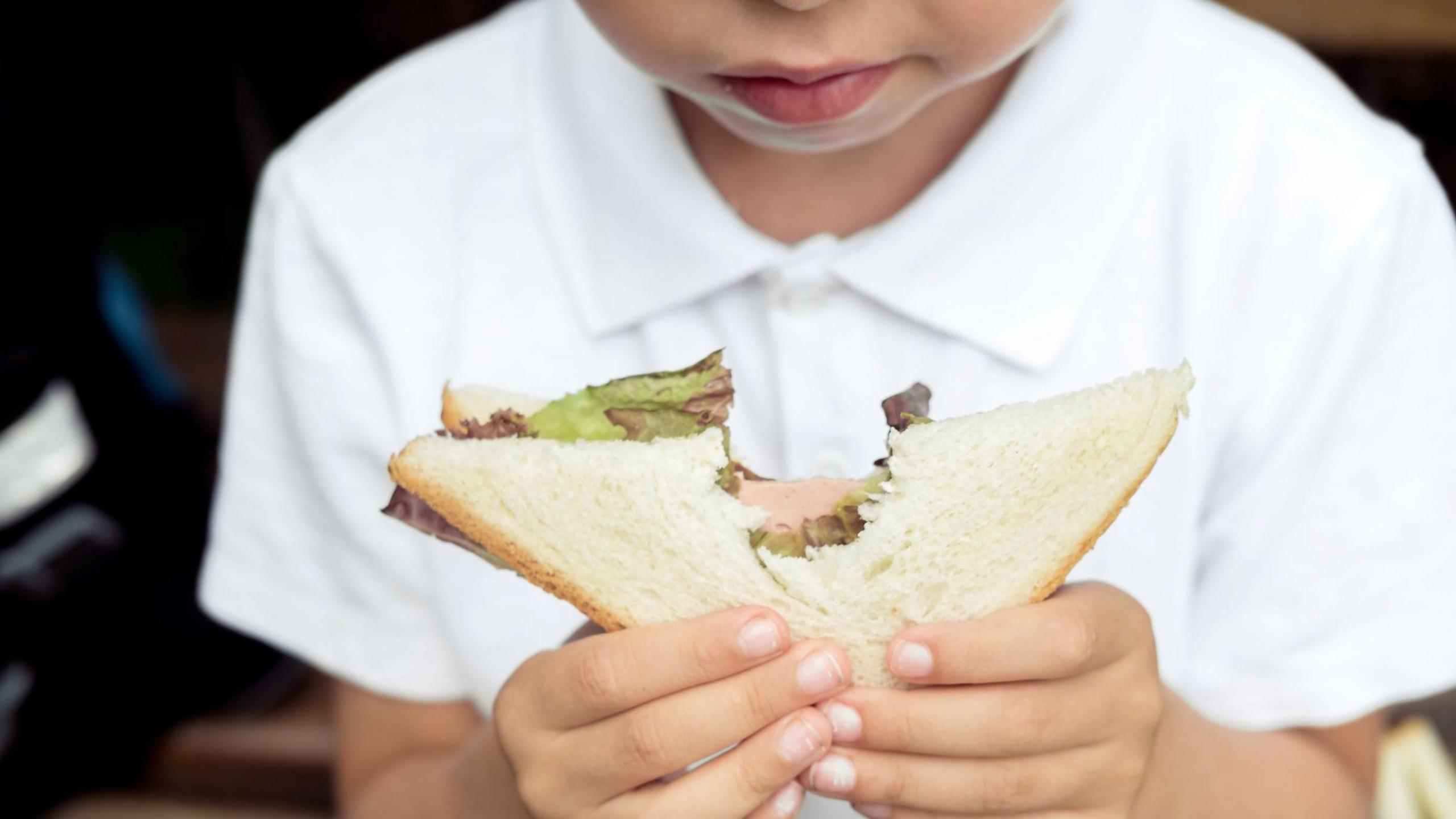 A child wearing a white polo shirt ponders taking another bite of their sandwich. The sandwich is made from white bread and has a filling of lettuce and cold meat.