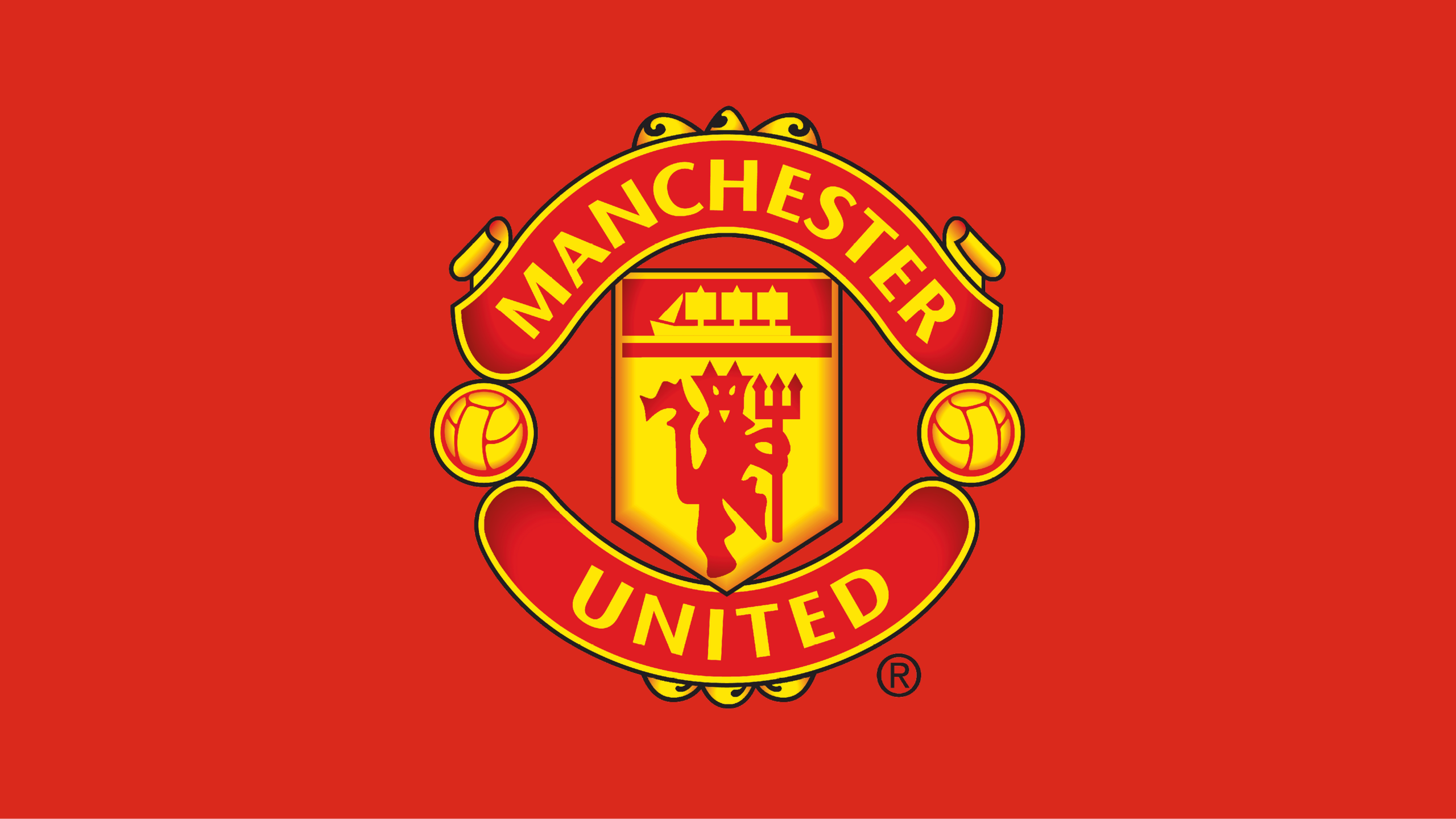 Manchester United club crest graphic
