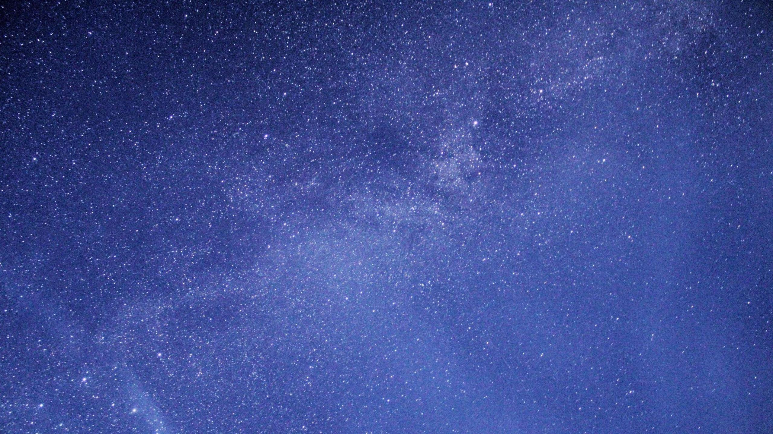 A dark blue sky is speckled with millions of stars.