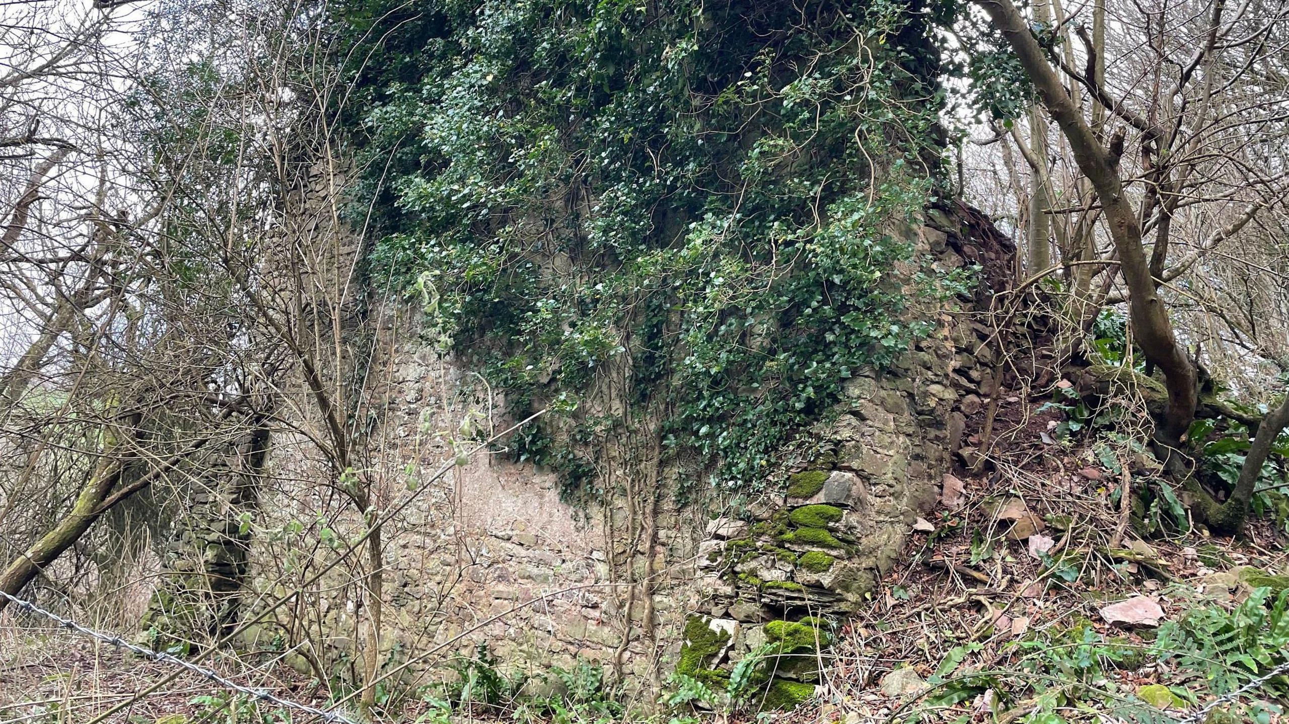 The ruins of Thorn Farmhouse covered in ivy