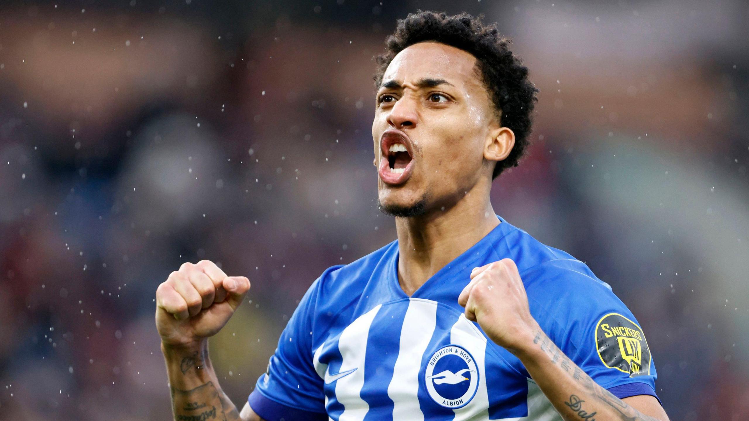 Joao Pedro celebrates while playing for Brighton