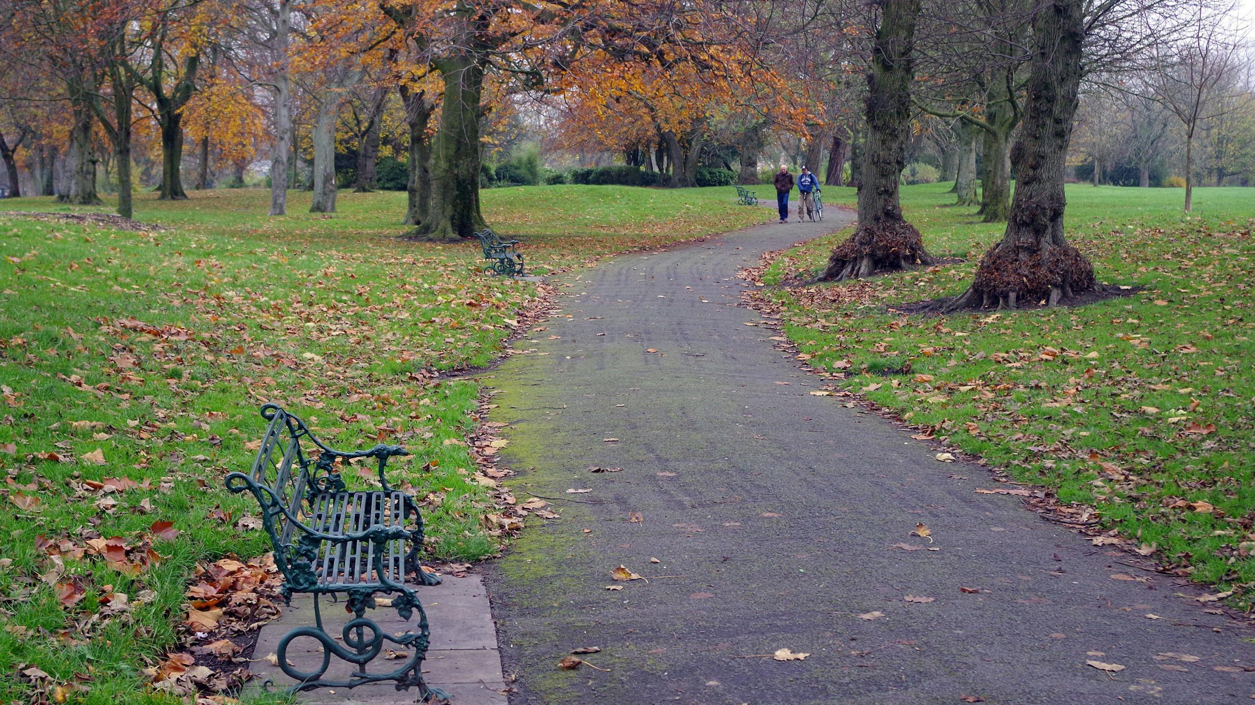 A gravel path winds past a green park bench through a park, with fallen leaves seen on the grounds and trees either side. Two men, one pushing a bike, walk along the path in the distance. 