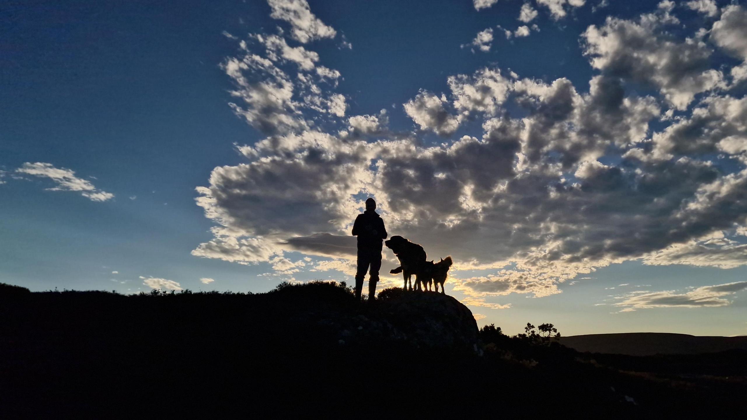 A person and two dogs are silhouetted against a cloudy sky.